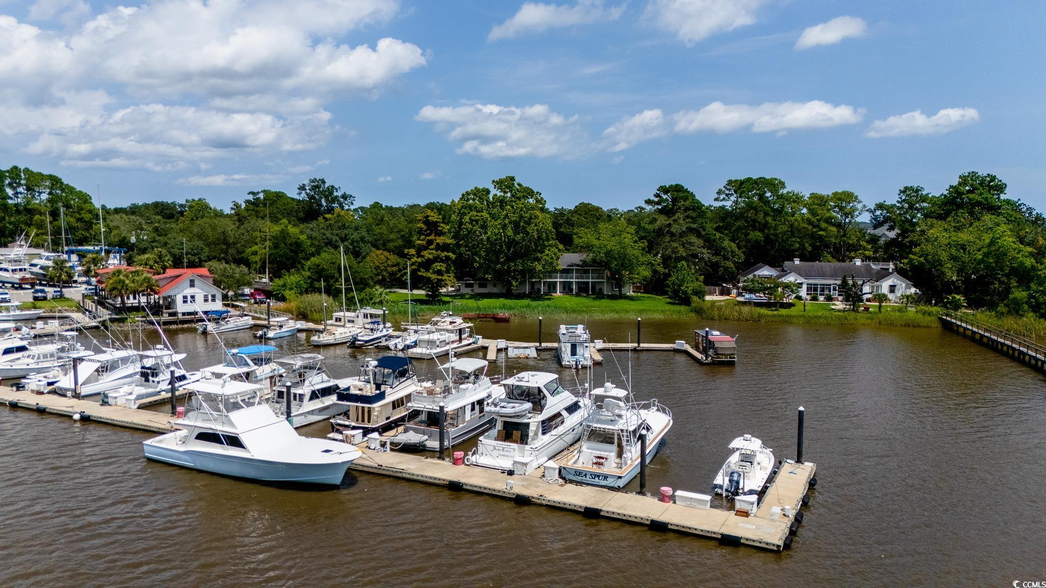 201 River Rd., Georgetown, South Carolina image 38