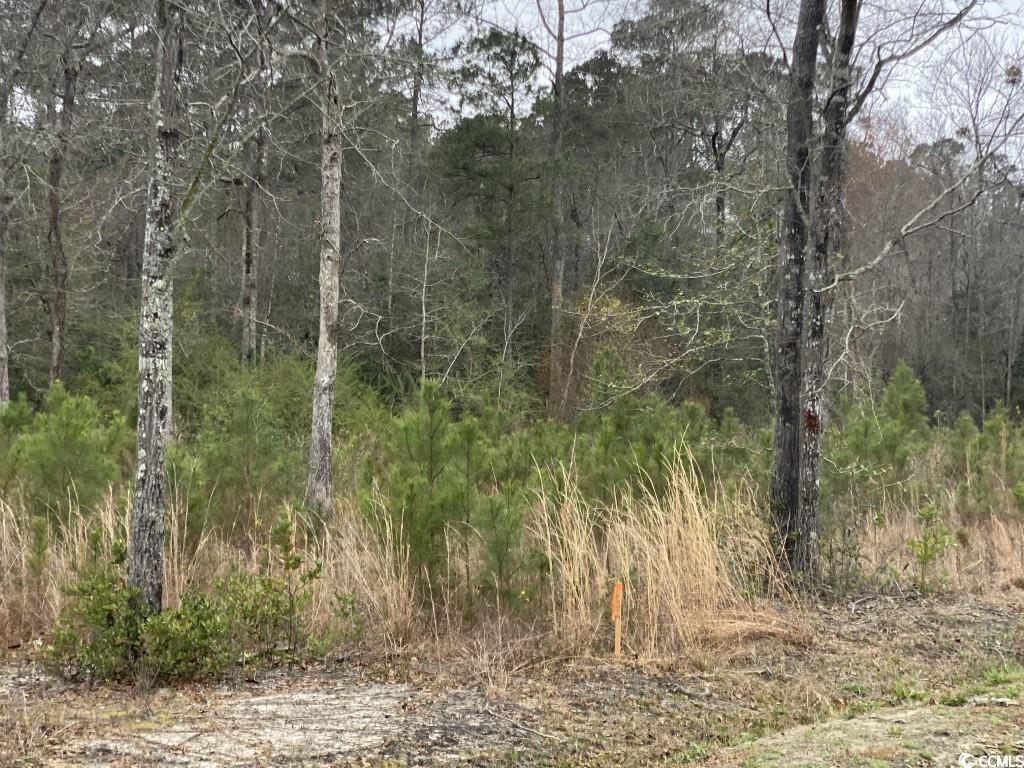 Lot 1 Allsbrook Rd. Loris, SC 29569