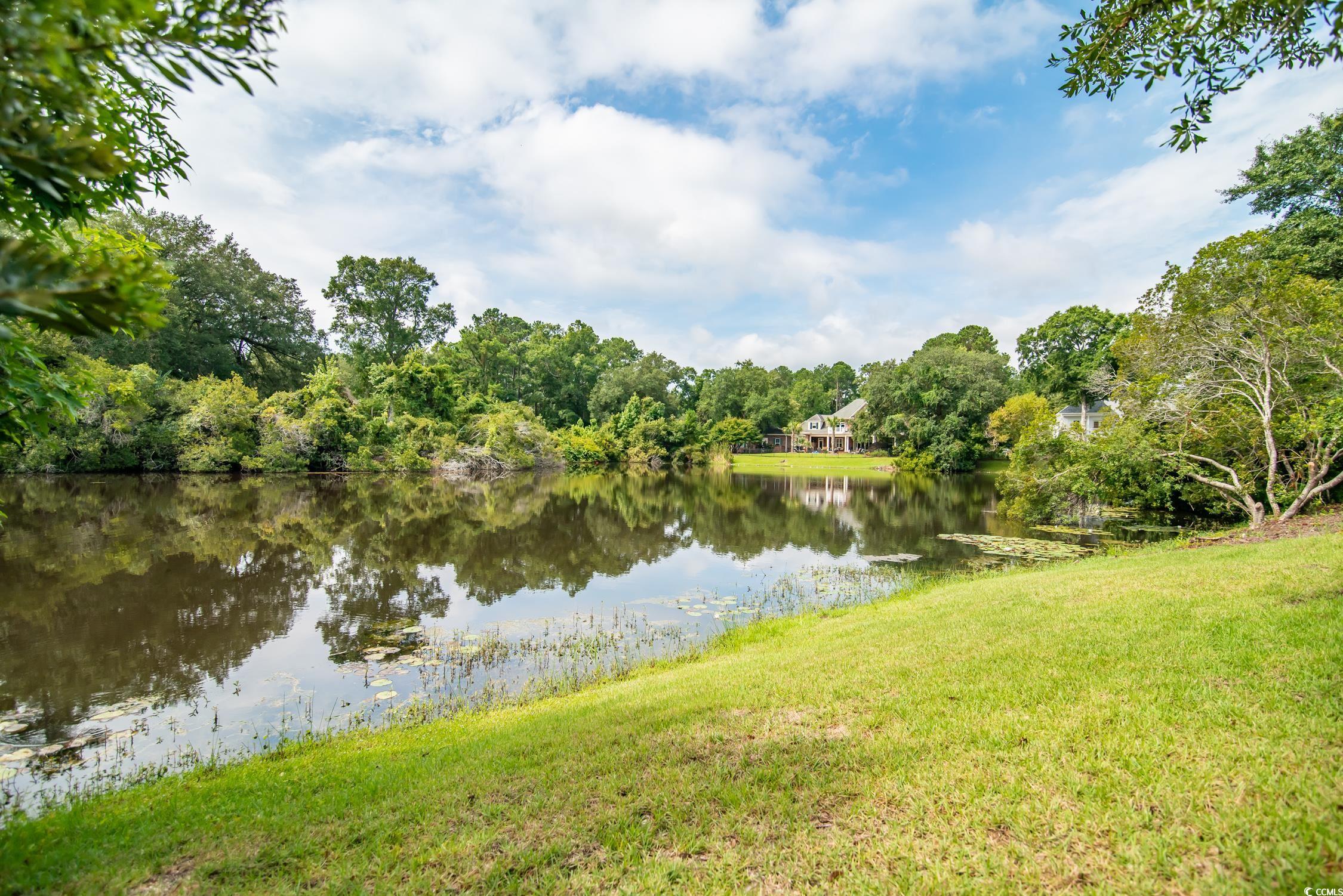 731 Lantana Circle, Georgetown, South Carolina image 9