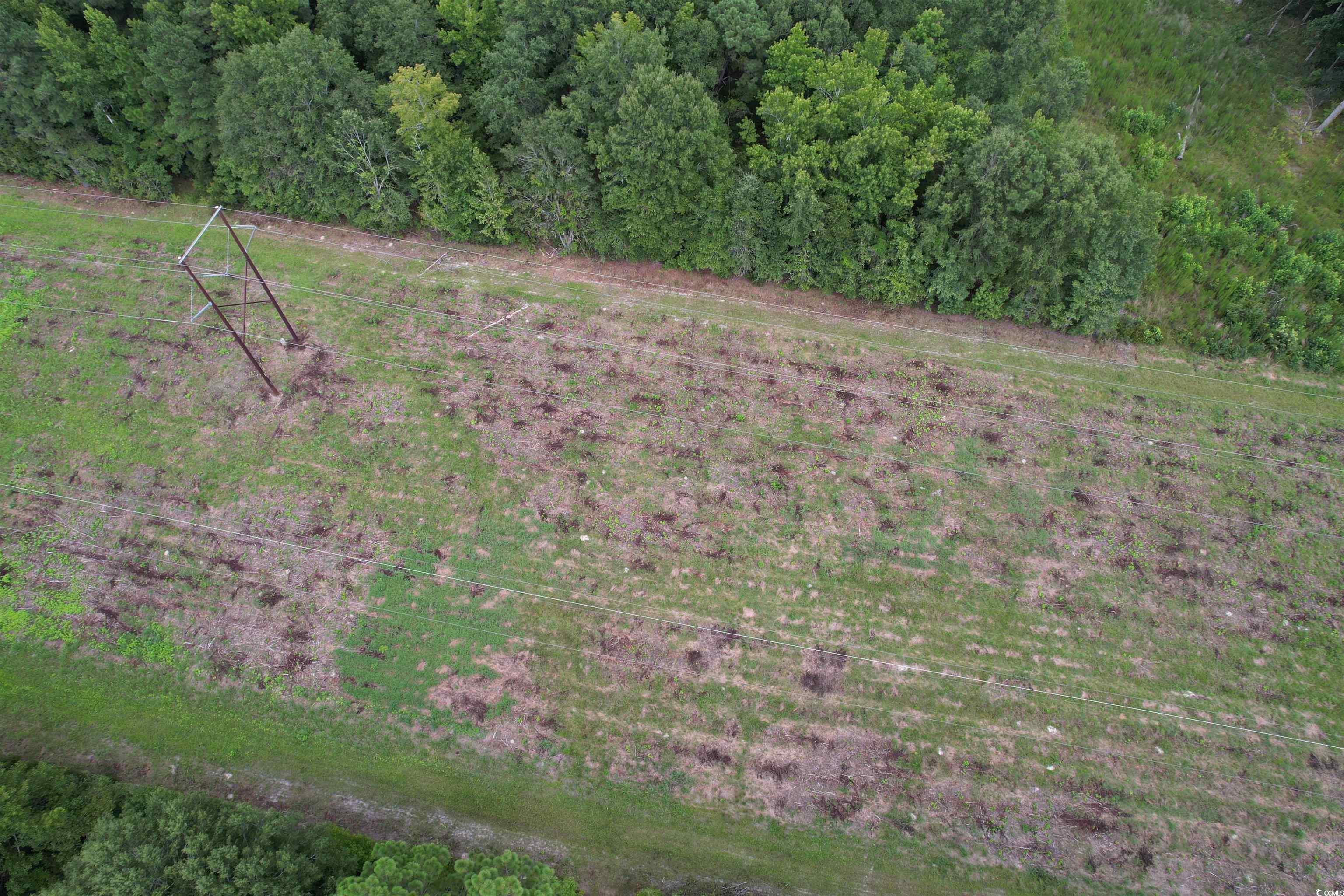 TBD Marion Church Rd., Salters, South Carolina image 4