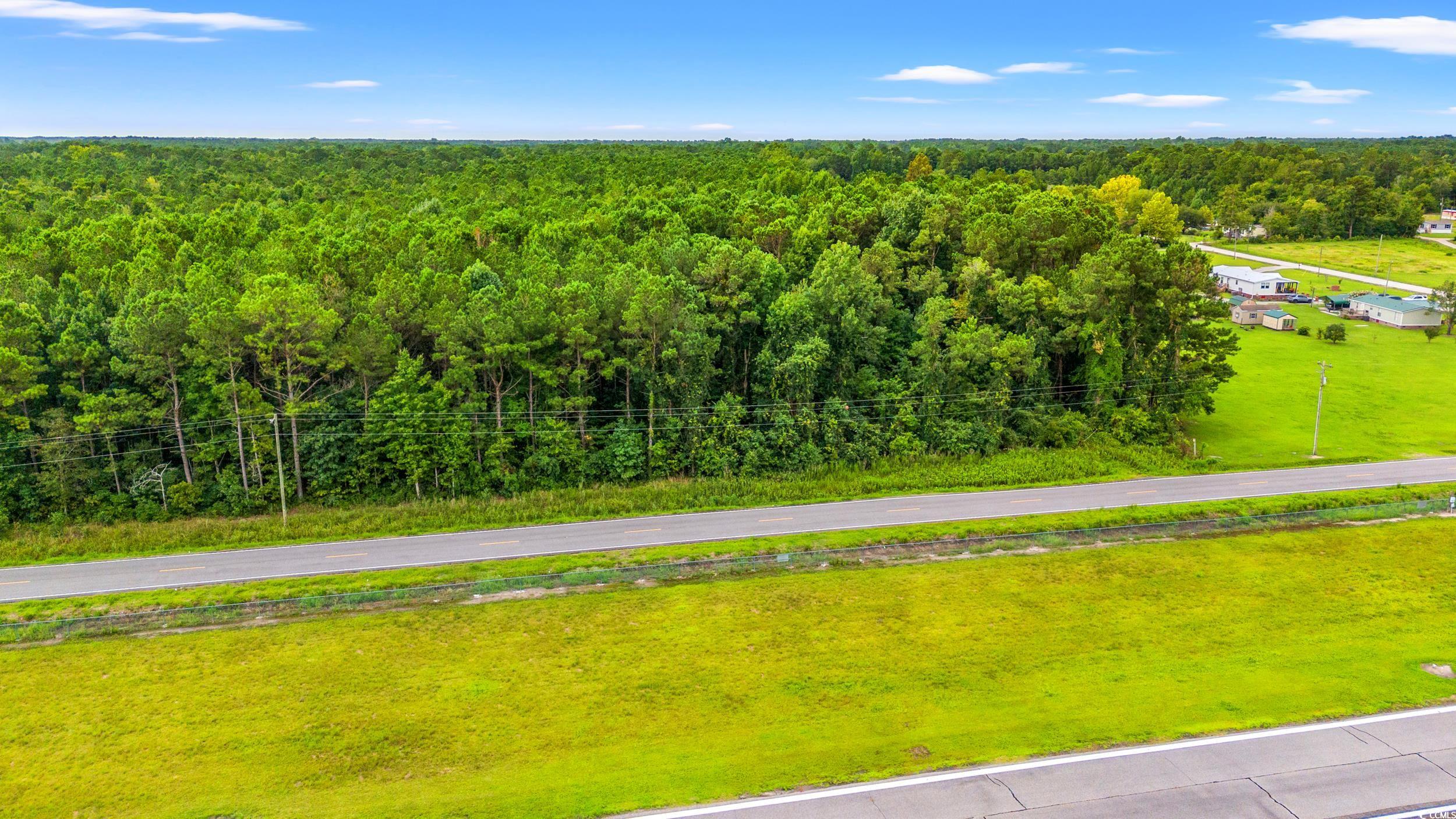 TBD Trotters Ridge Rd., Loris, South Carolina image 11