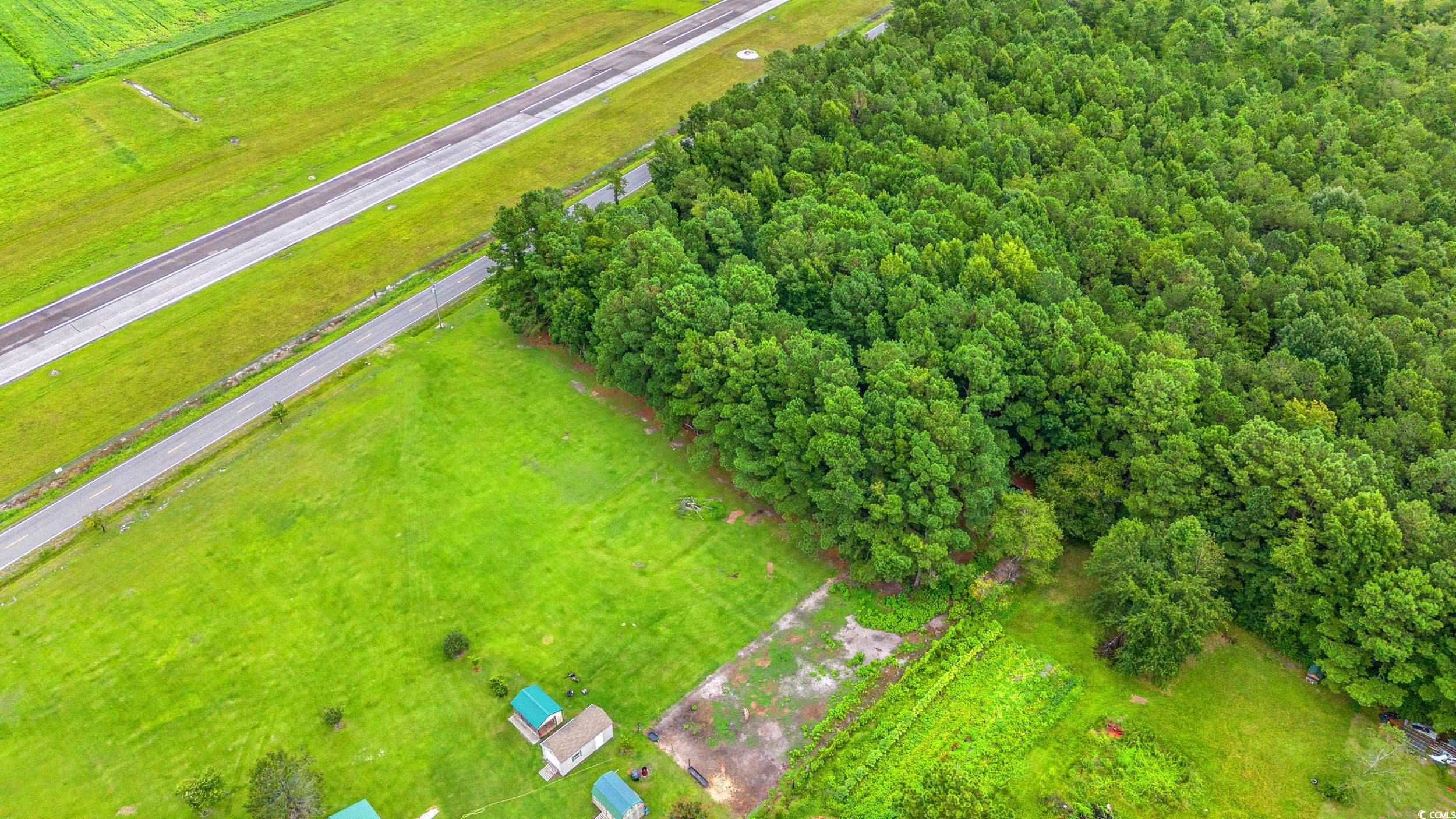 TBD Trotters Ridge Rd., Loris, South Carolina image 13