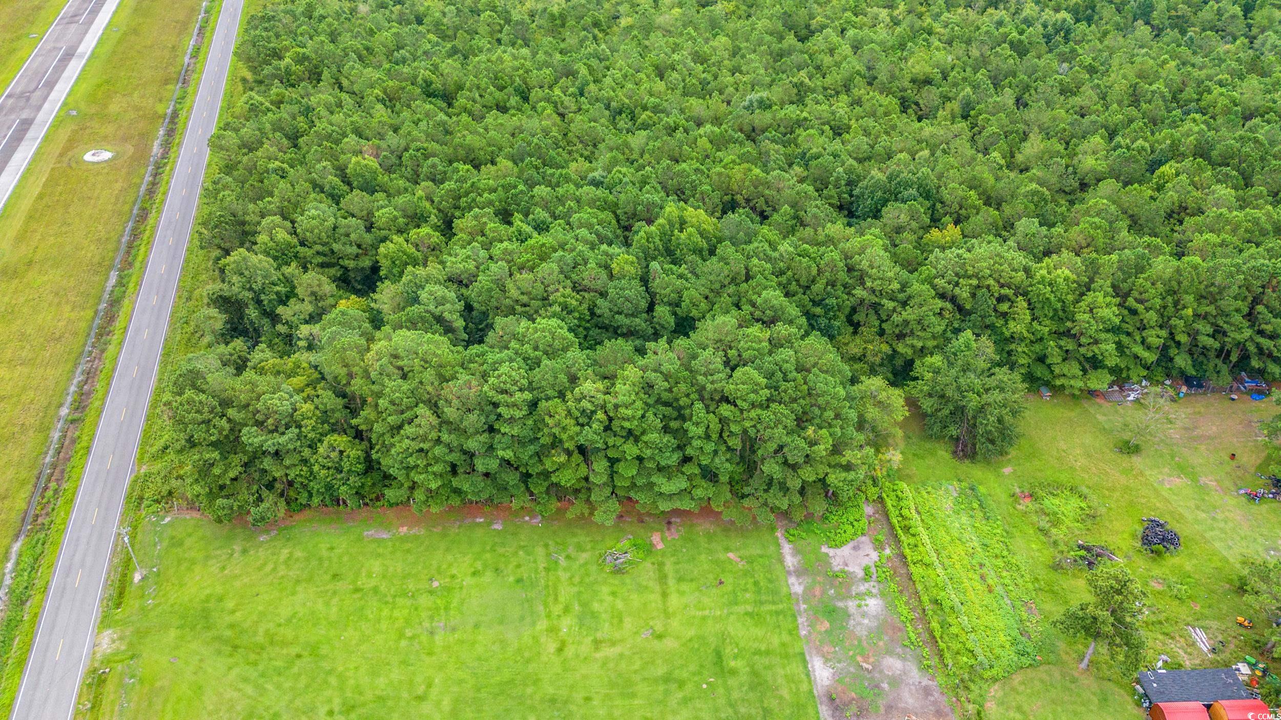 TBD Trotters Ridge Rd., Loris, South Carolina image 6