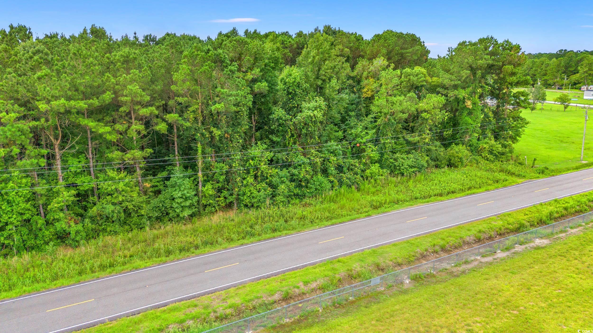 TBD Trotters Ridge Rd., Loris, South Carolina image 7