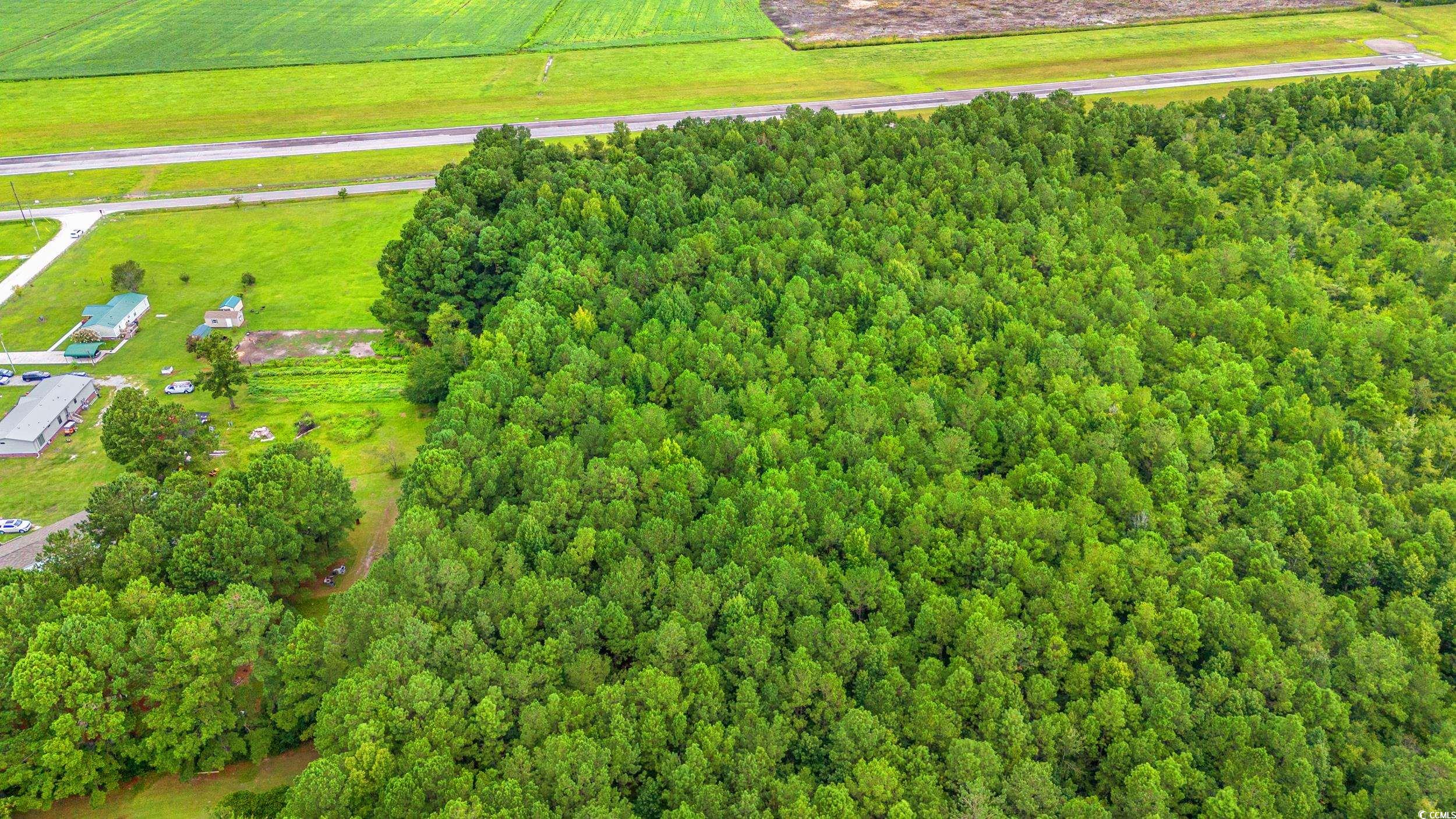 TBD Trotters Ridge Rd., Loris, South Carolina image 8