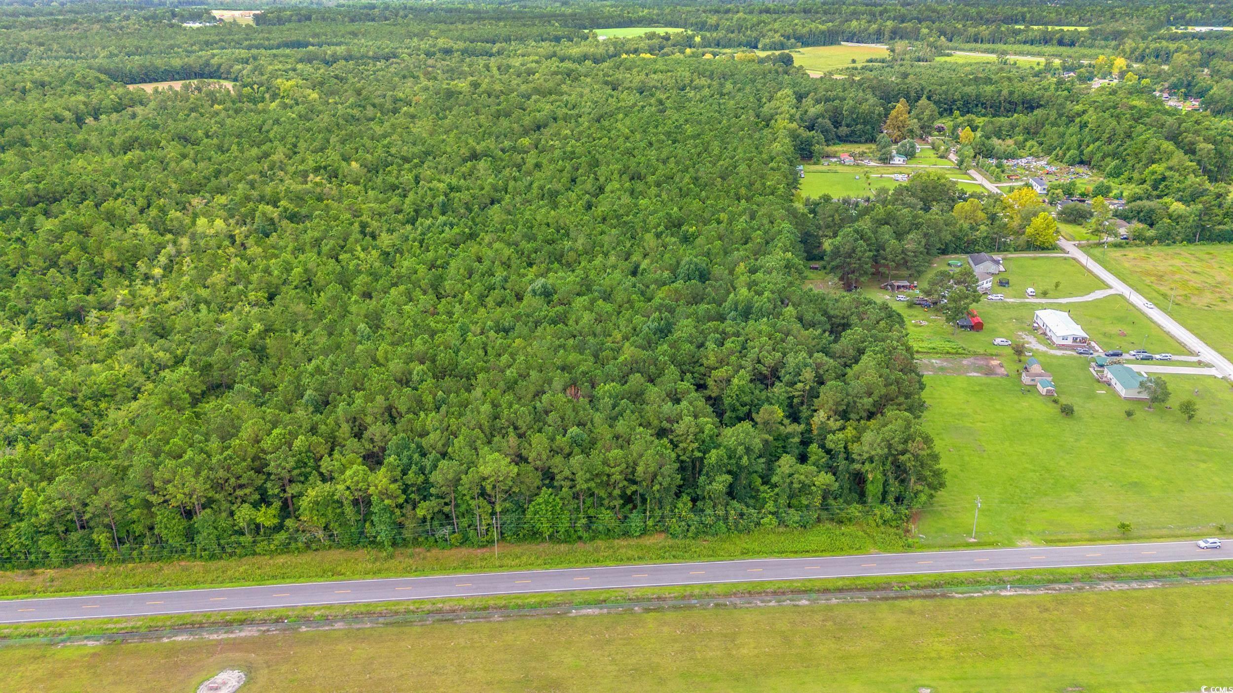 TBD Trotters Ridge Rd., Loris, South Carolina image 9