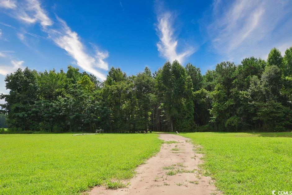 TBD Spring Branch Rd. Nichols, SC 29581