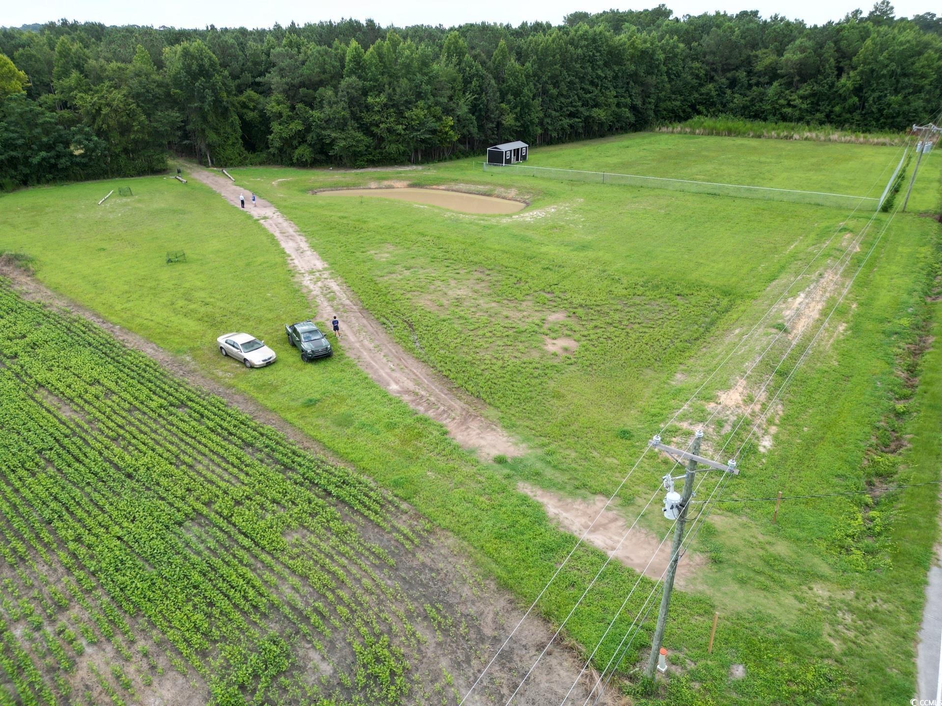 TBD Spring Branch Rd., Nichols, South Carolina image 14