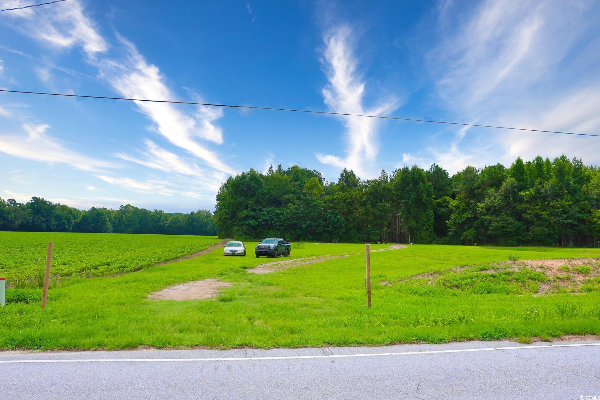 TBD Spring Branch Rd., Nichols, South Carolina image 17