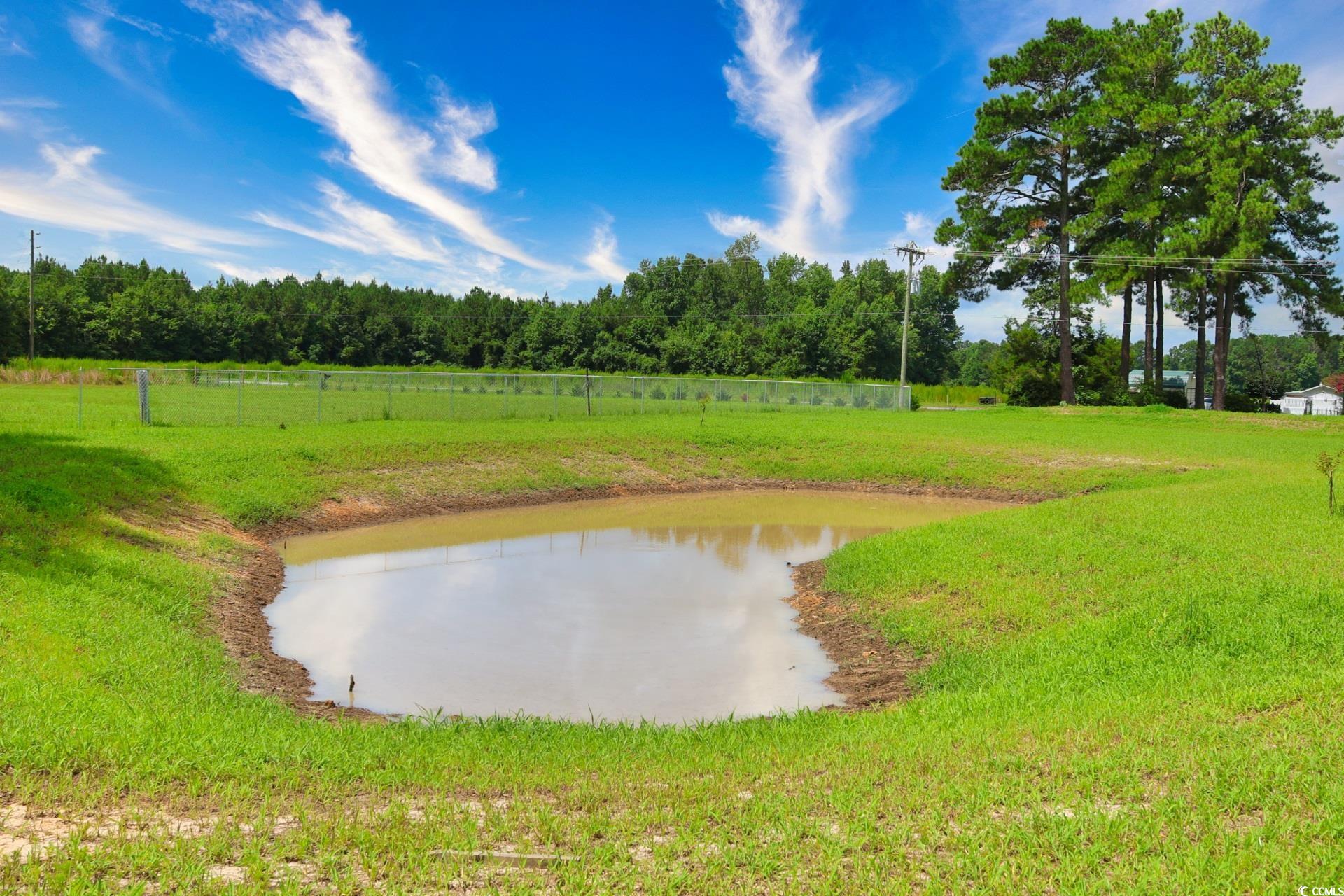 TBD Spring Branch Rd., Nichols, South Carolina image 18