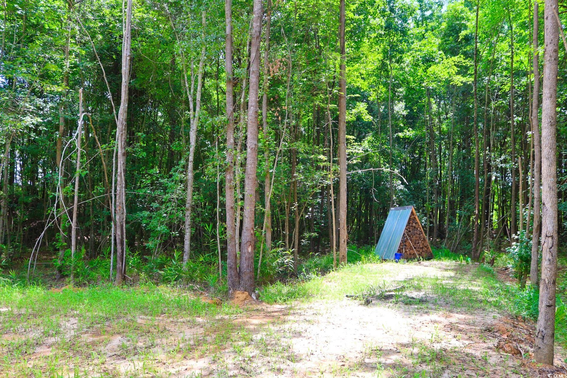 TBD Spring Branch Rd., Nichols, South Carolina image 21