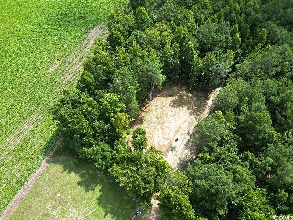TBD Spring Branch Rd., Nichols, South Carolina image 4