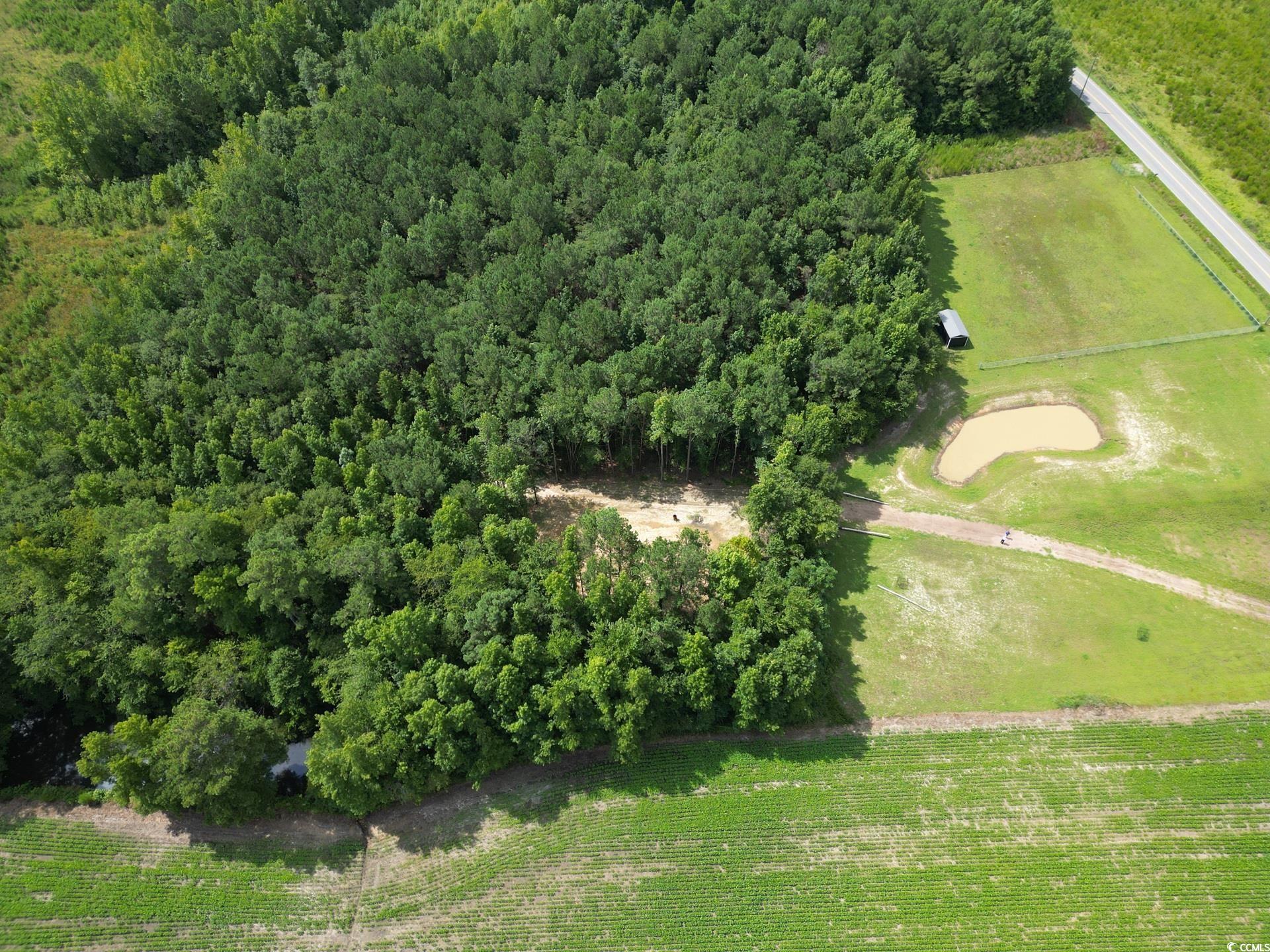 TBD Spring Branch Rd., Nichols, South Carolina image 8