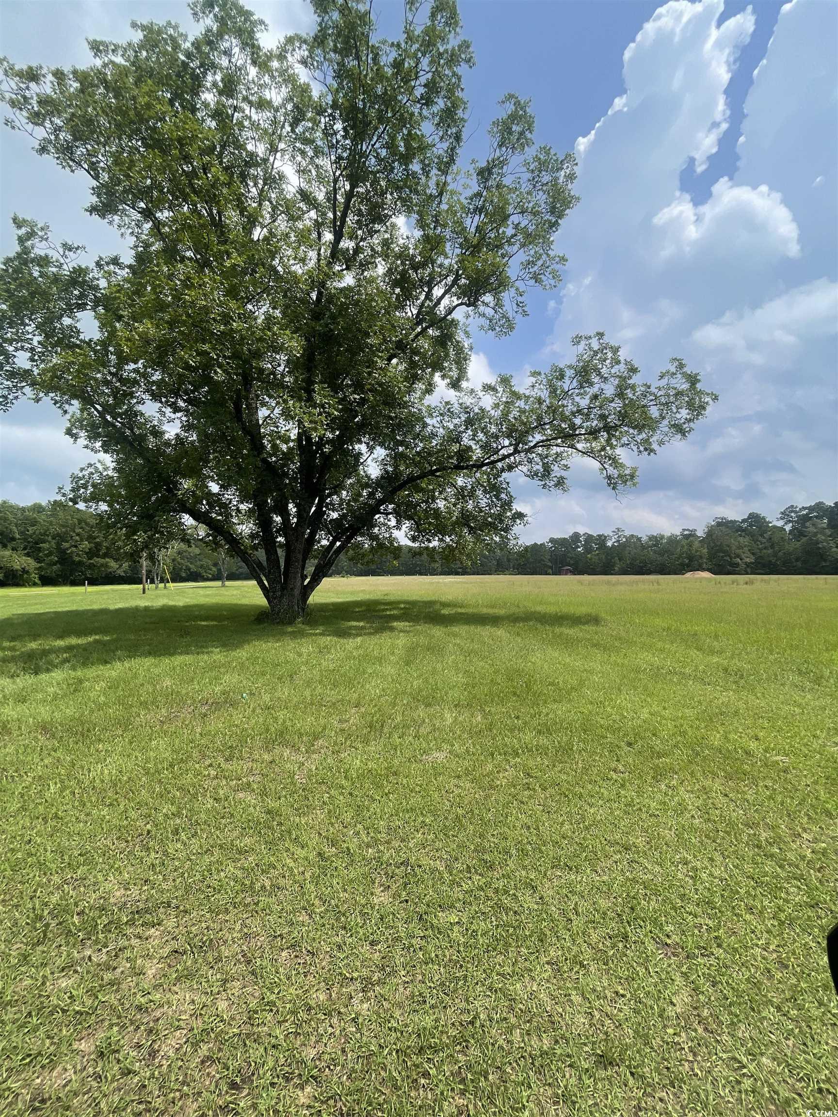 TBD Gurley Rd., Loris, South Carolina image 6