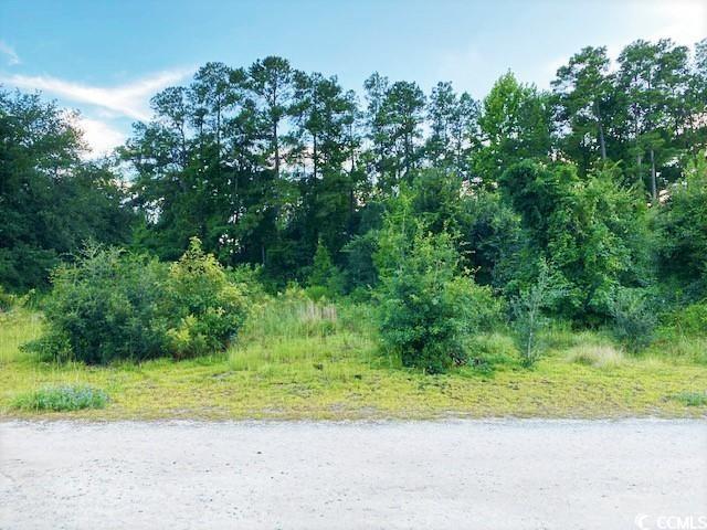 Lot 1 Ivanhoe Pl. Dillon, SC 29536