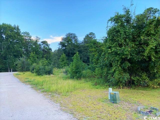 Lot 1 Ivanhoe Pl., Dillon, South Carolina image 3