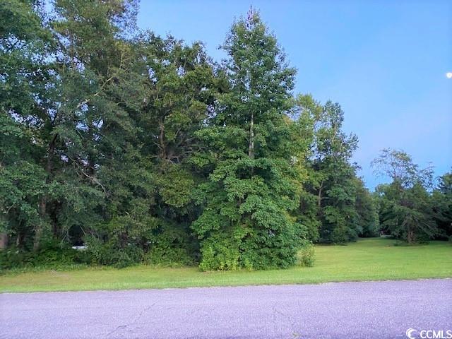 Lot 1 Ivanhoe Pl., Dillon, South Carolina image 4