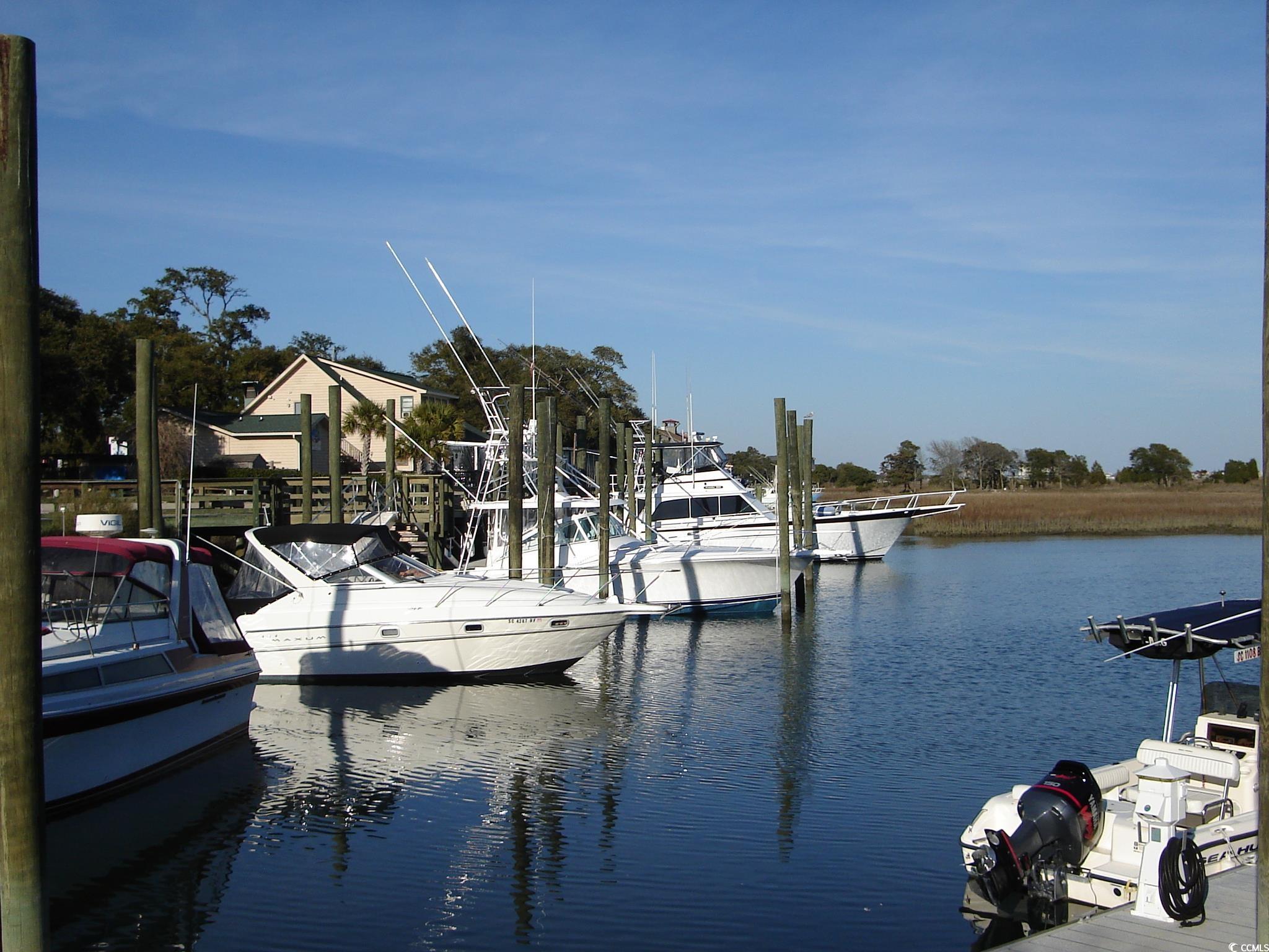 354 Lifestyle Court, Surfside Beach, South Carolina image 18