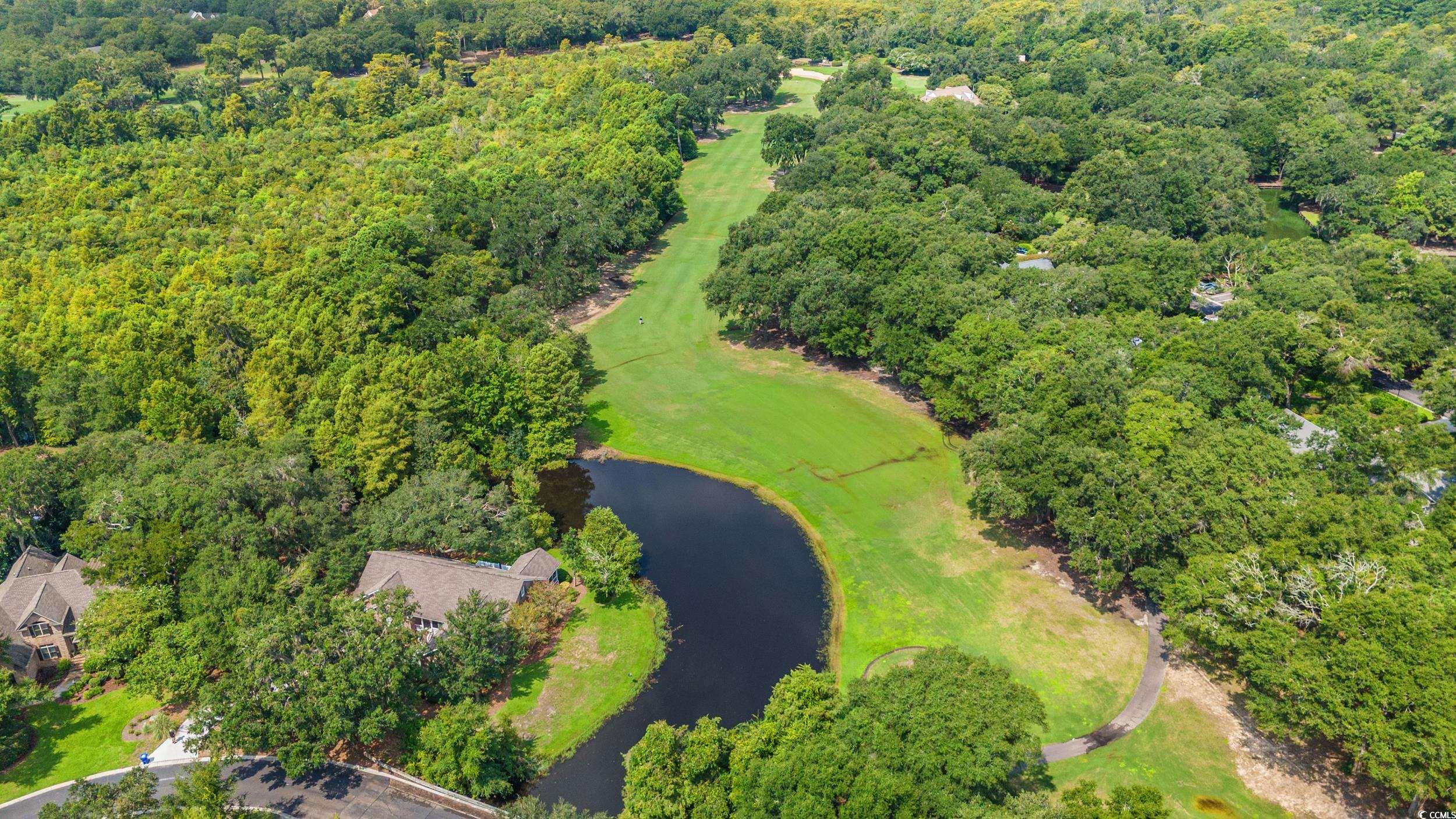 1468 Oatland Lake Rd., Pawleys Island, South Carolina image 3