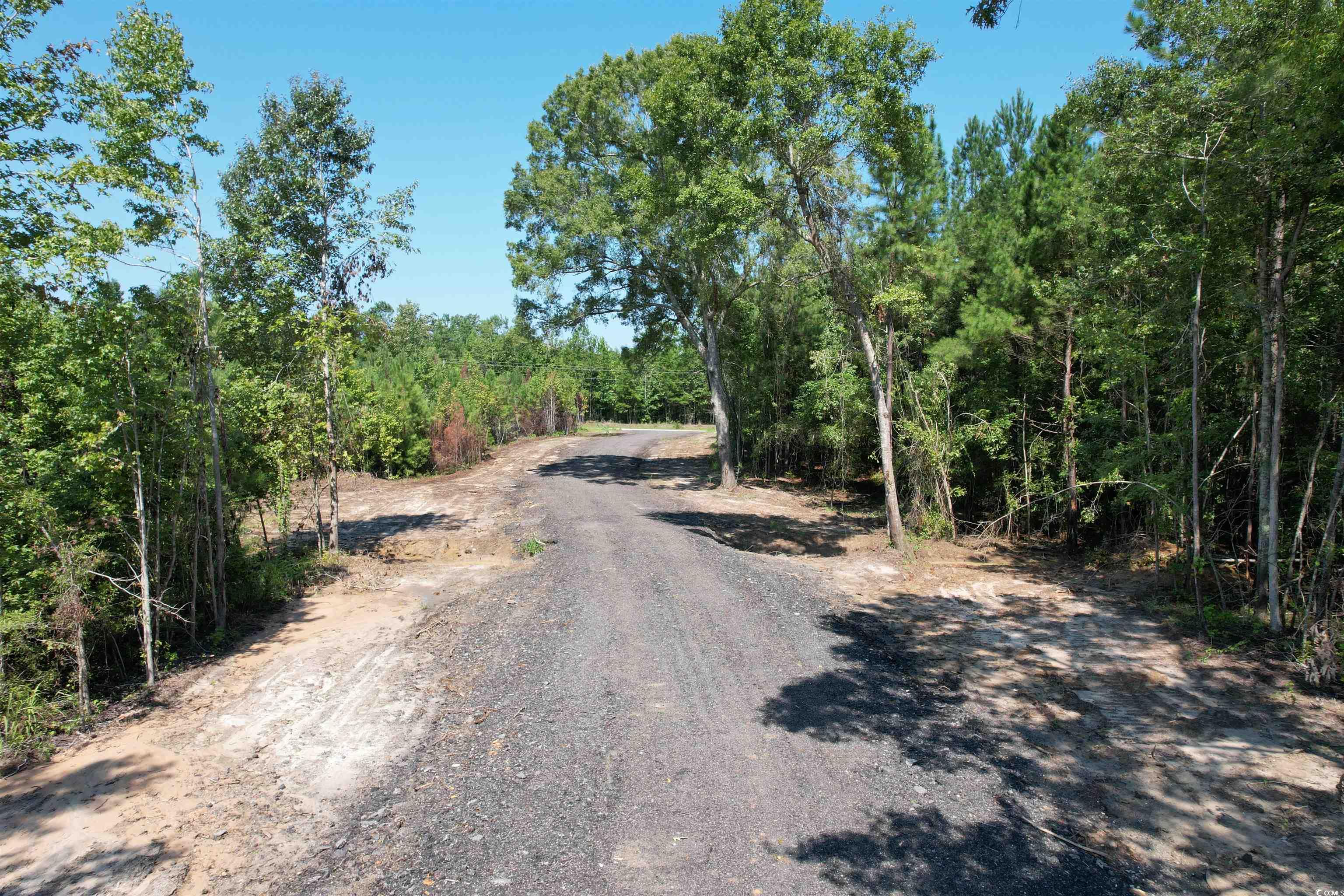 TBD Santee Rd., Andrews, South Carolina image 8