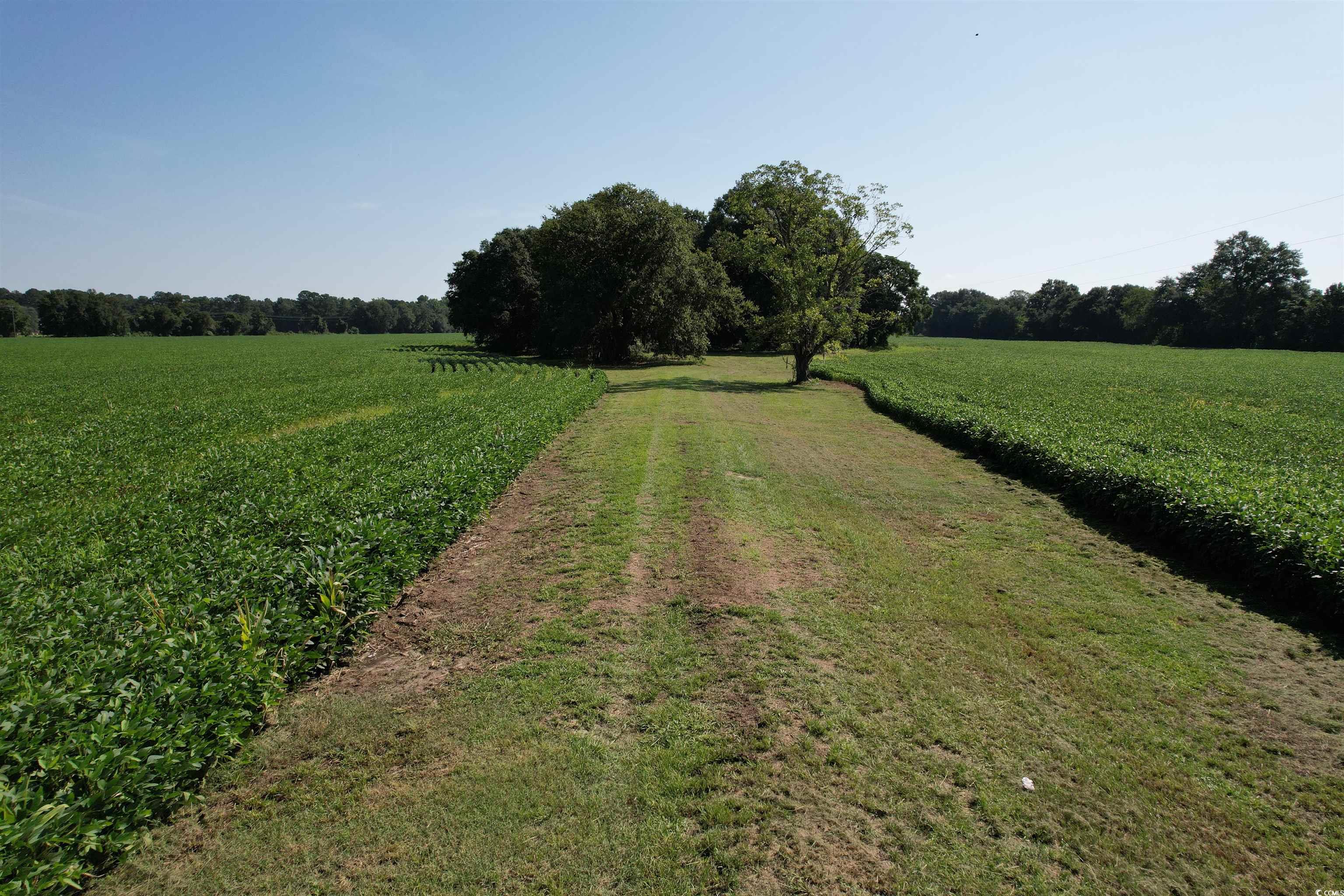 TBD Sumter Hwy., Kingstree, South Carolina image 10
