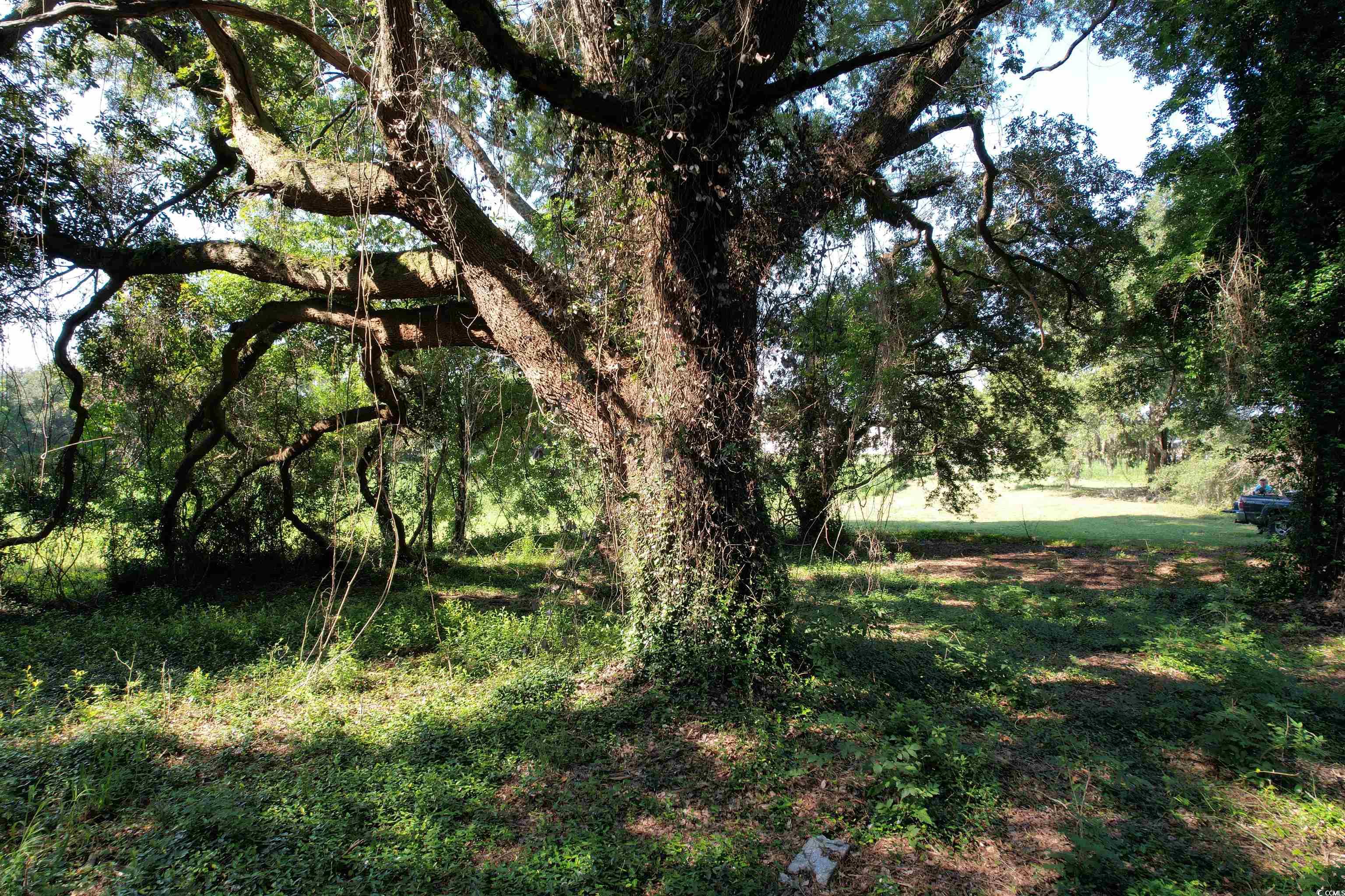 TBD Sumter Hwy., Kingstree, South Carolina image 13