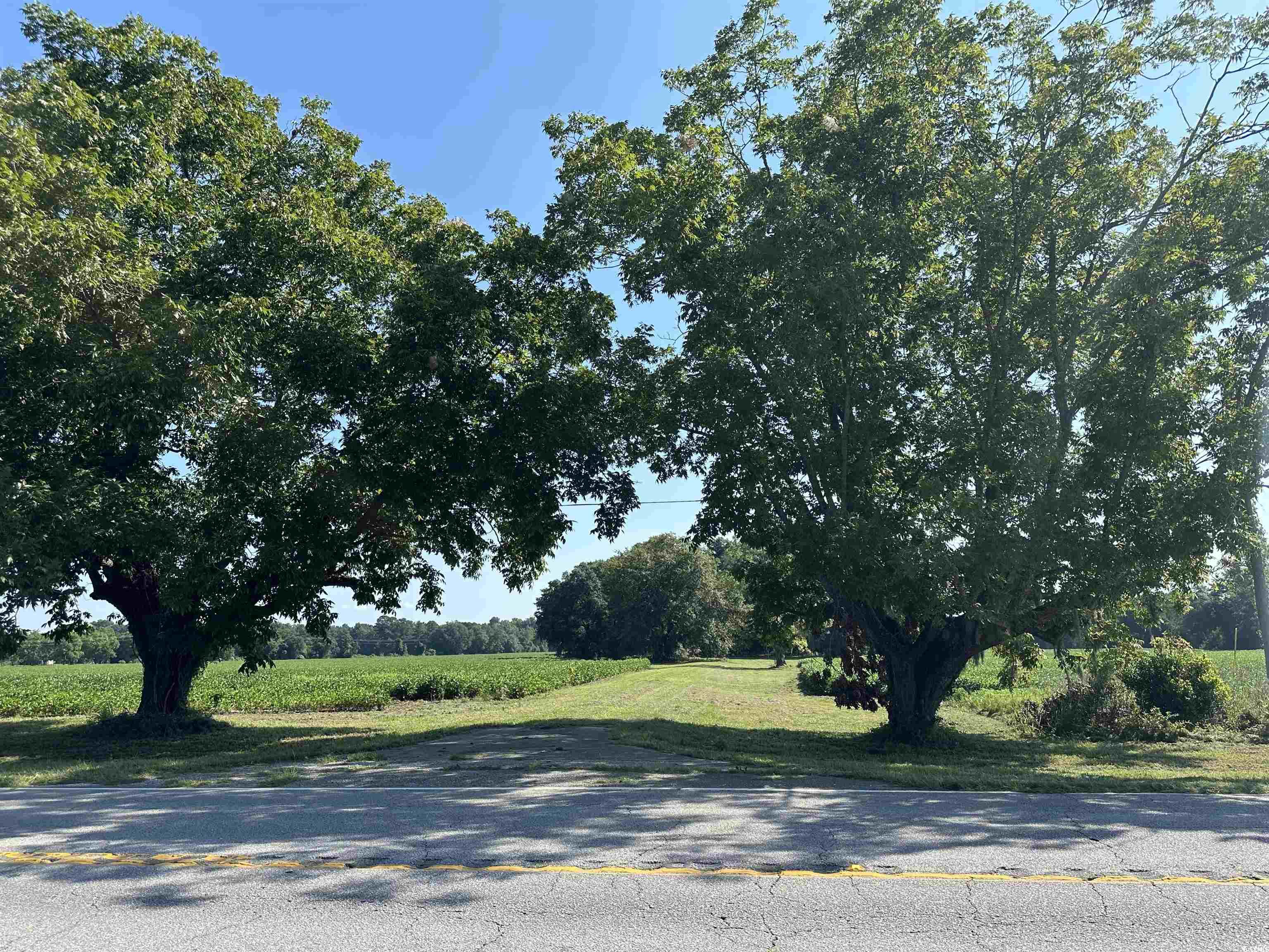 TBD Sumter Hwy., Kingstree, South Carolina image 14