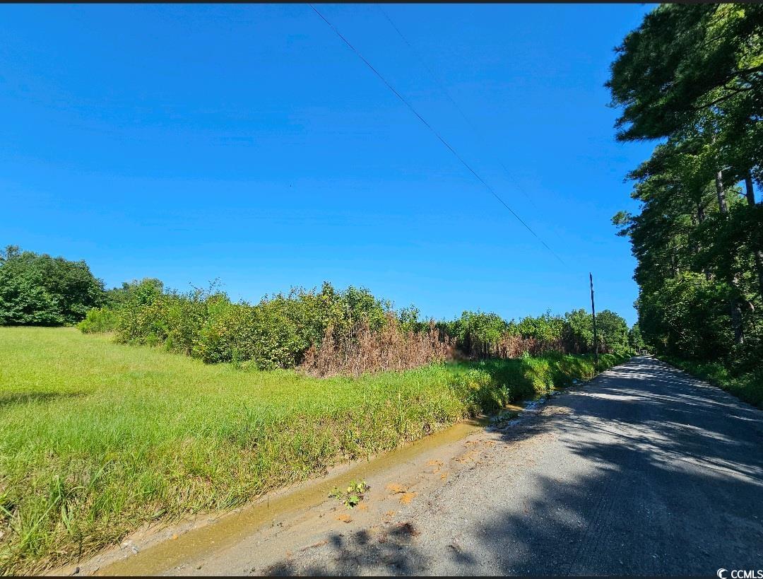 TBD Tract Fox Pen Dr. Green Sea, SC 29545