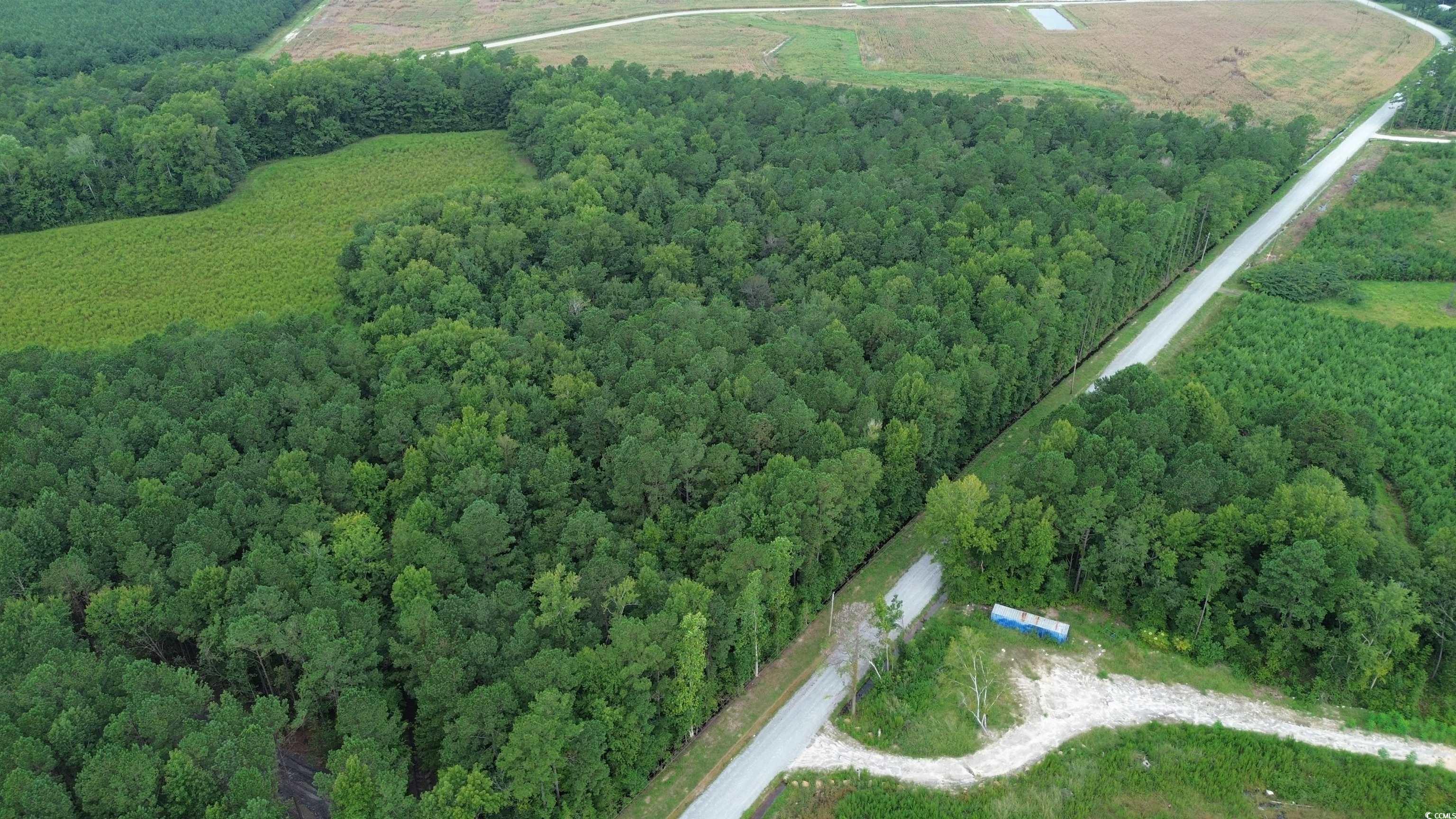 TBD Fries Bay Rd., Loris, South Carolina image 3