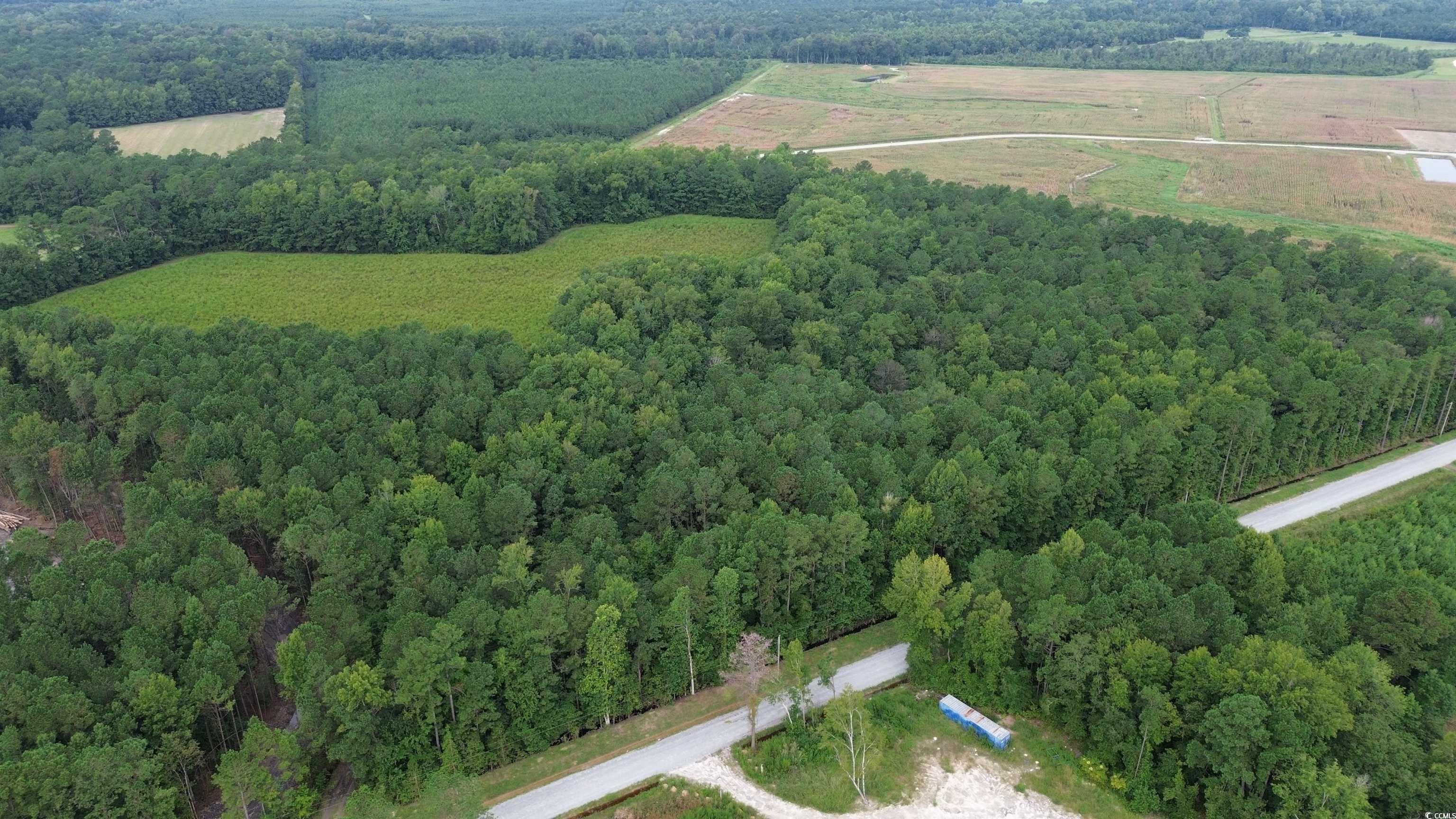 TBD Fries Bay Rd., Loris, South Carolina image 5