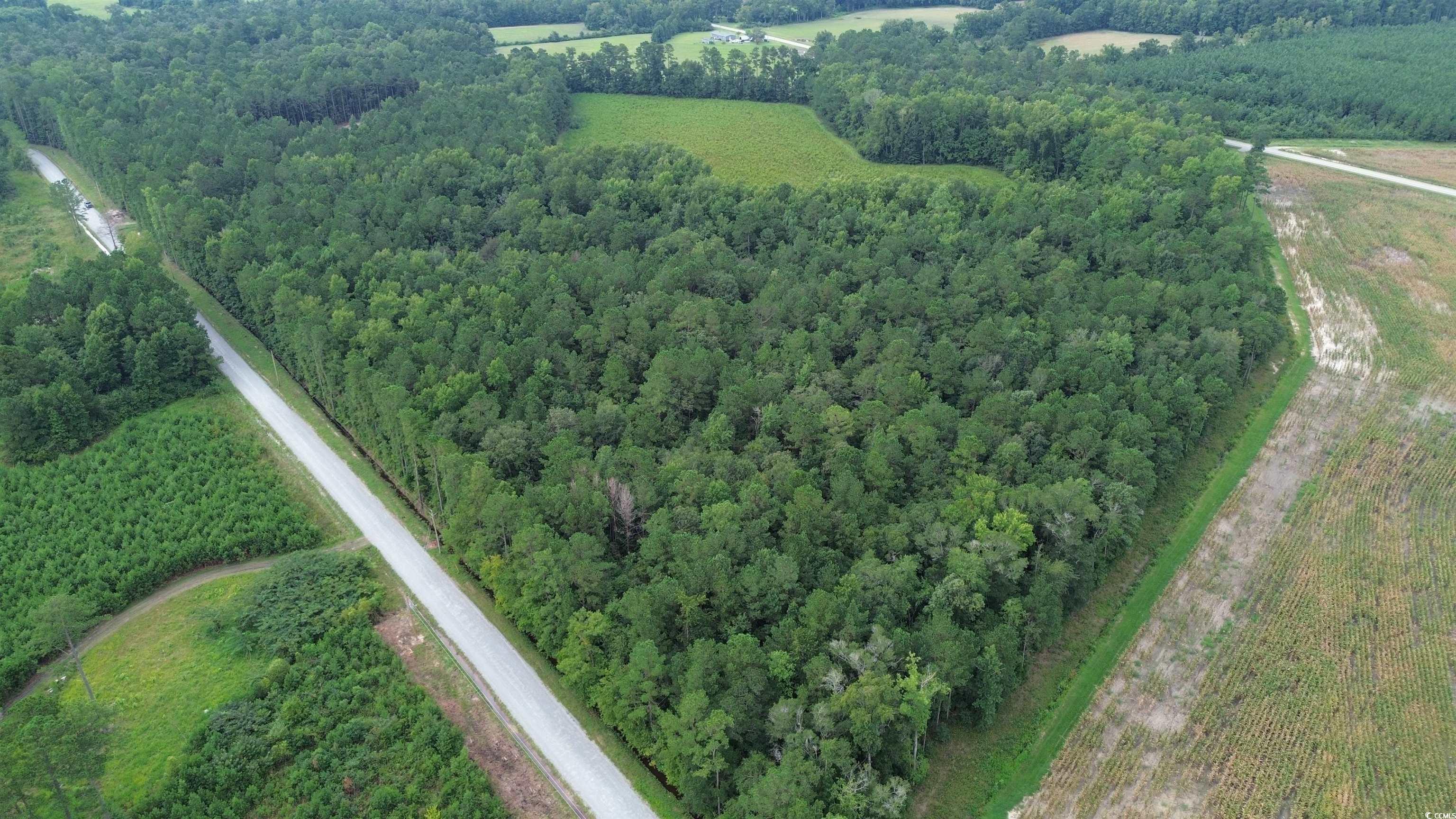 TBD Fries Bay Rd., Loris, South Carolina image 6