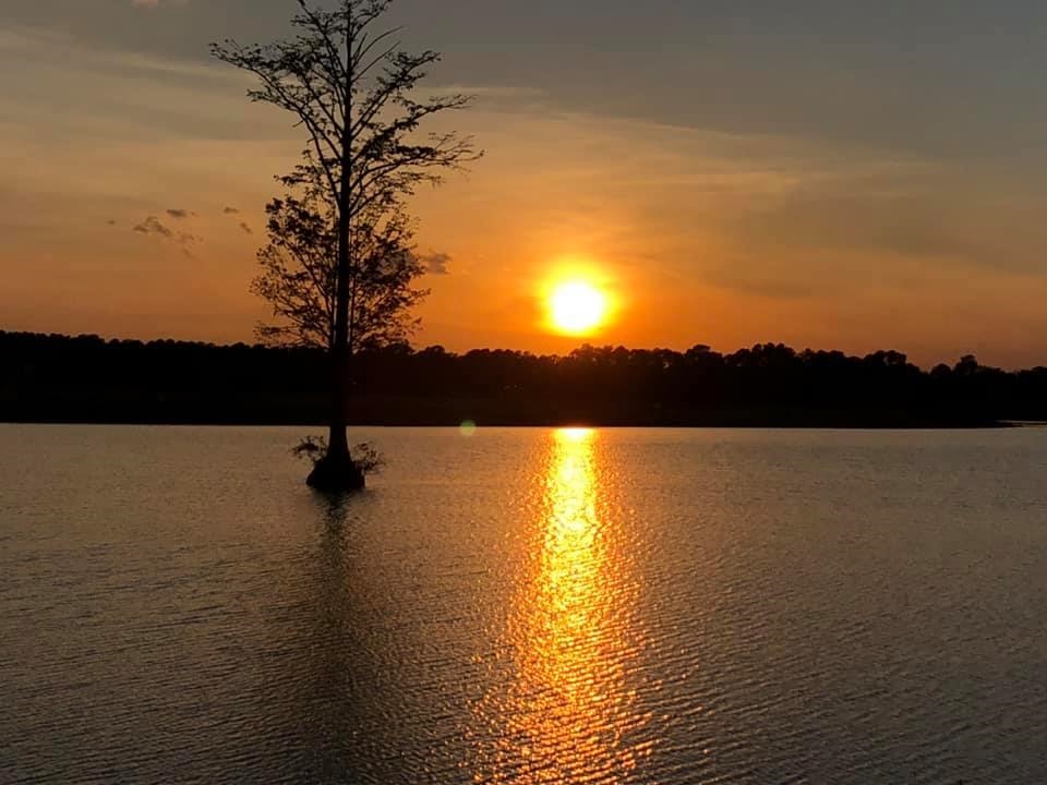 5039 Cambria Ct., Little River, South Carolina image 9