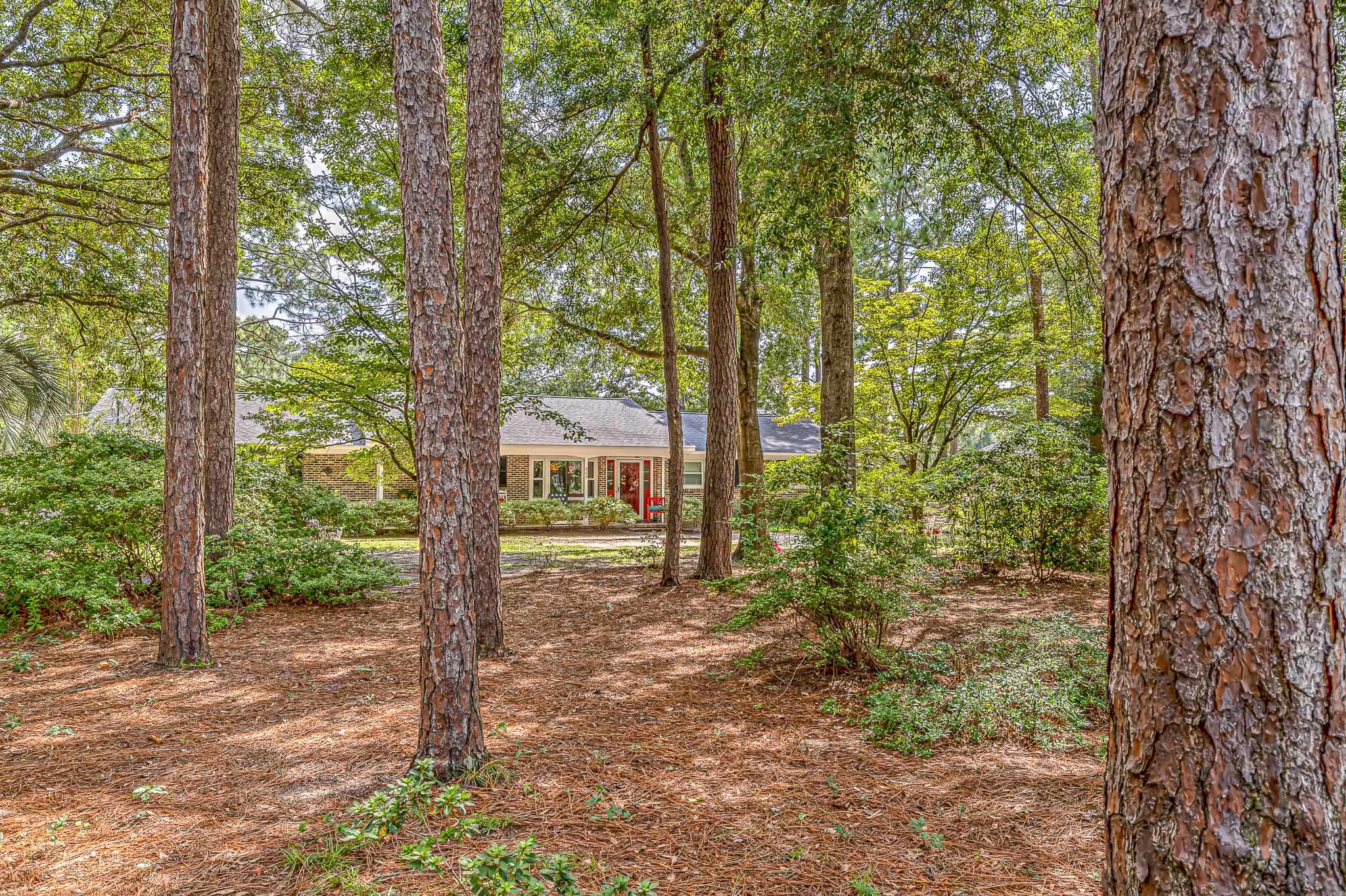 263 Arcadia Dr., Pawleys Island, South Carolina image 3