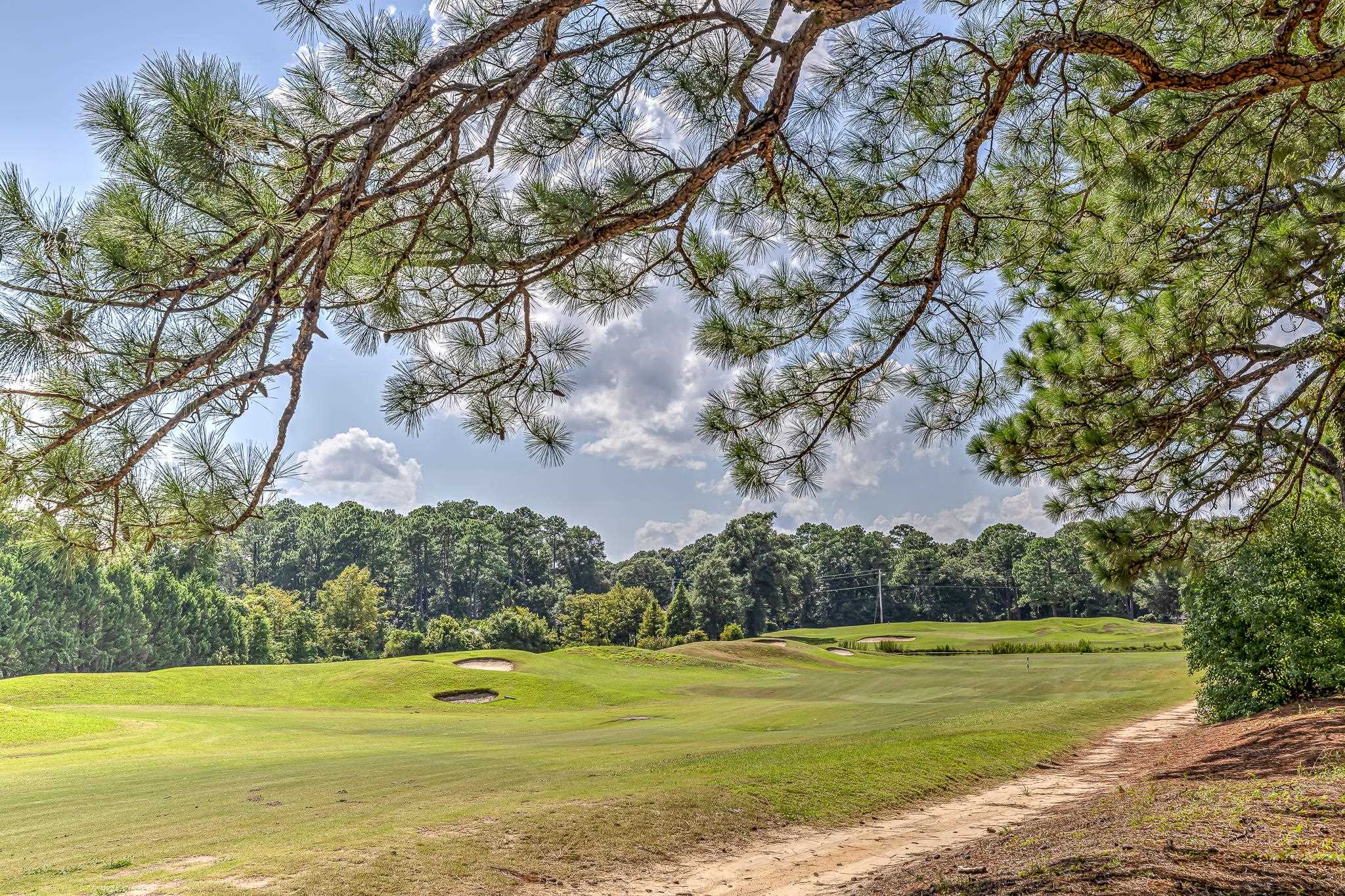 263 Arcadia Dr., Pawleys Island, South Carolina image 6