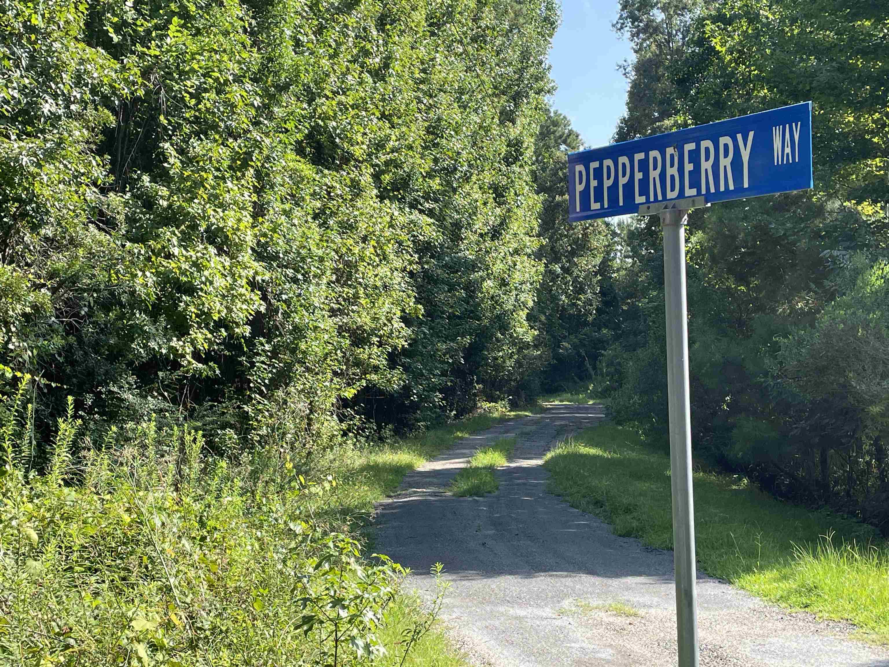 TBD Harris Landing Rd., Georgetown, South Carolina image 7