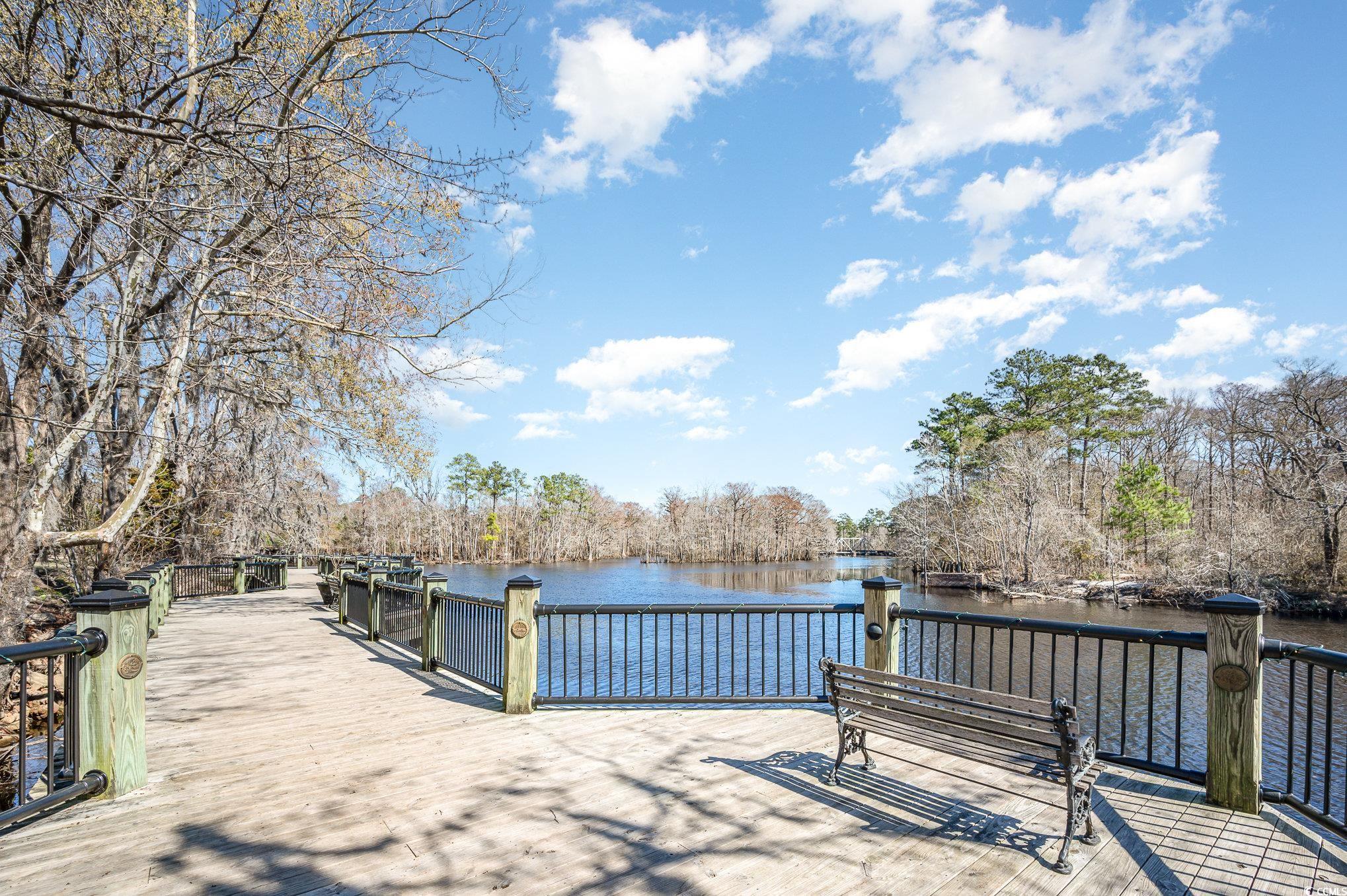 1124 Cypress Shoal Dr., Conway, South Carolina image 9