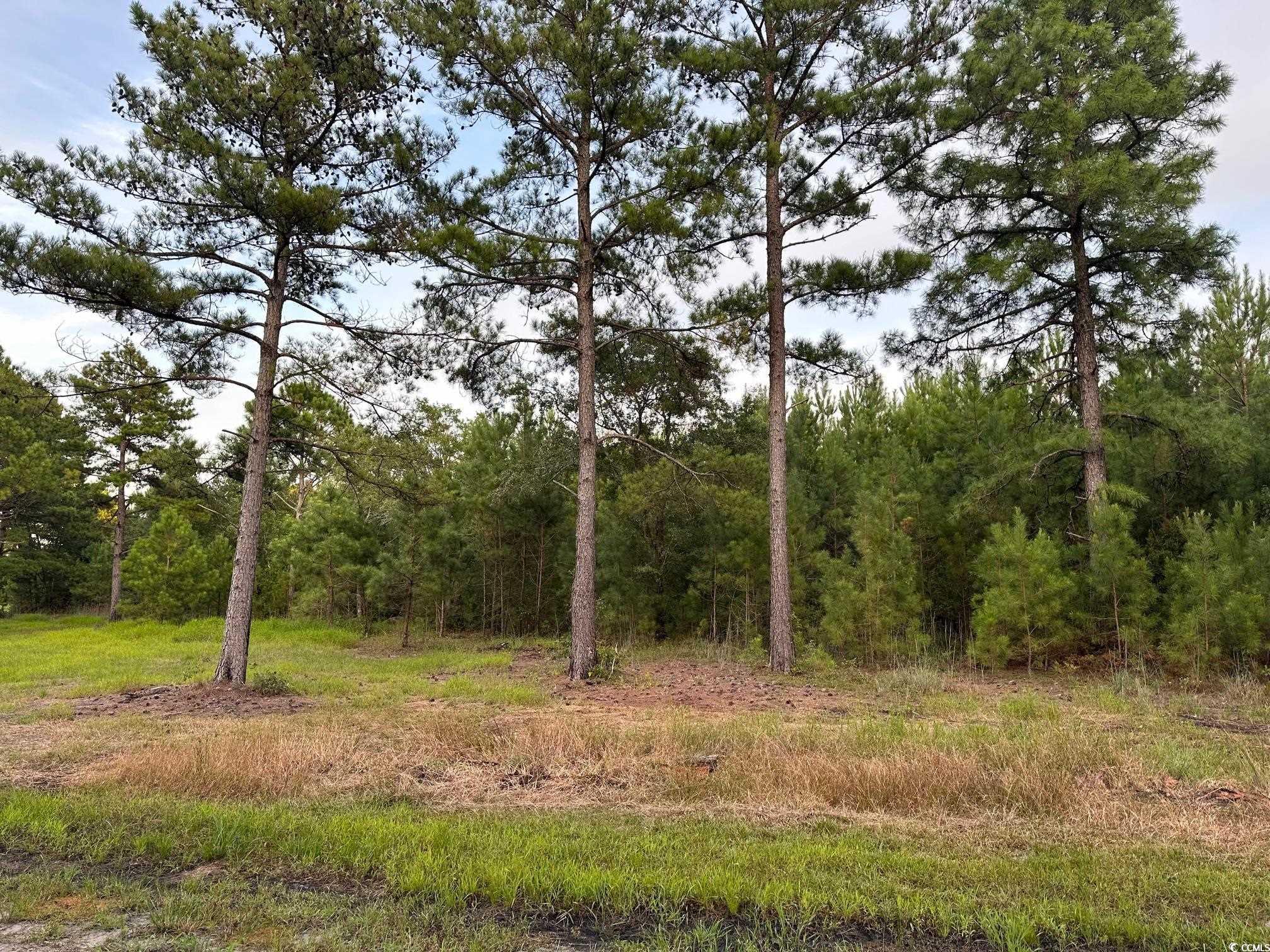 TBD LOT 9 Woodrow Ln. Loris, SC 29569