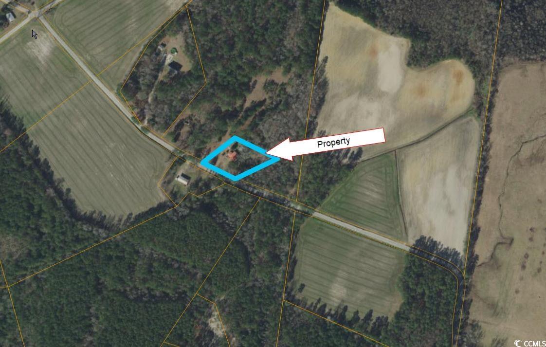 2225 Grainloyd Rd., Galivants Ferry, South Carolina image 1