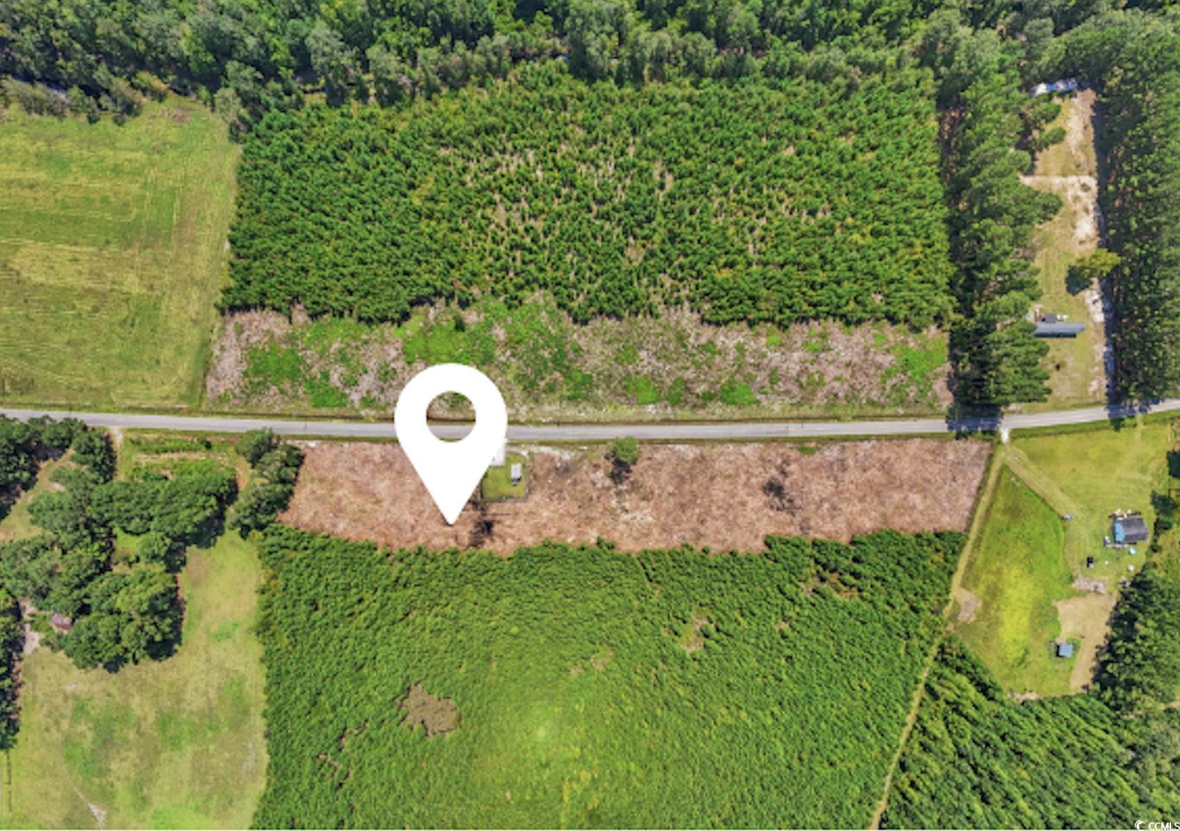 LOT B6 Black Creek Rd., Nichols, South Carolina image 13