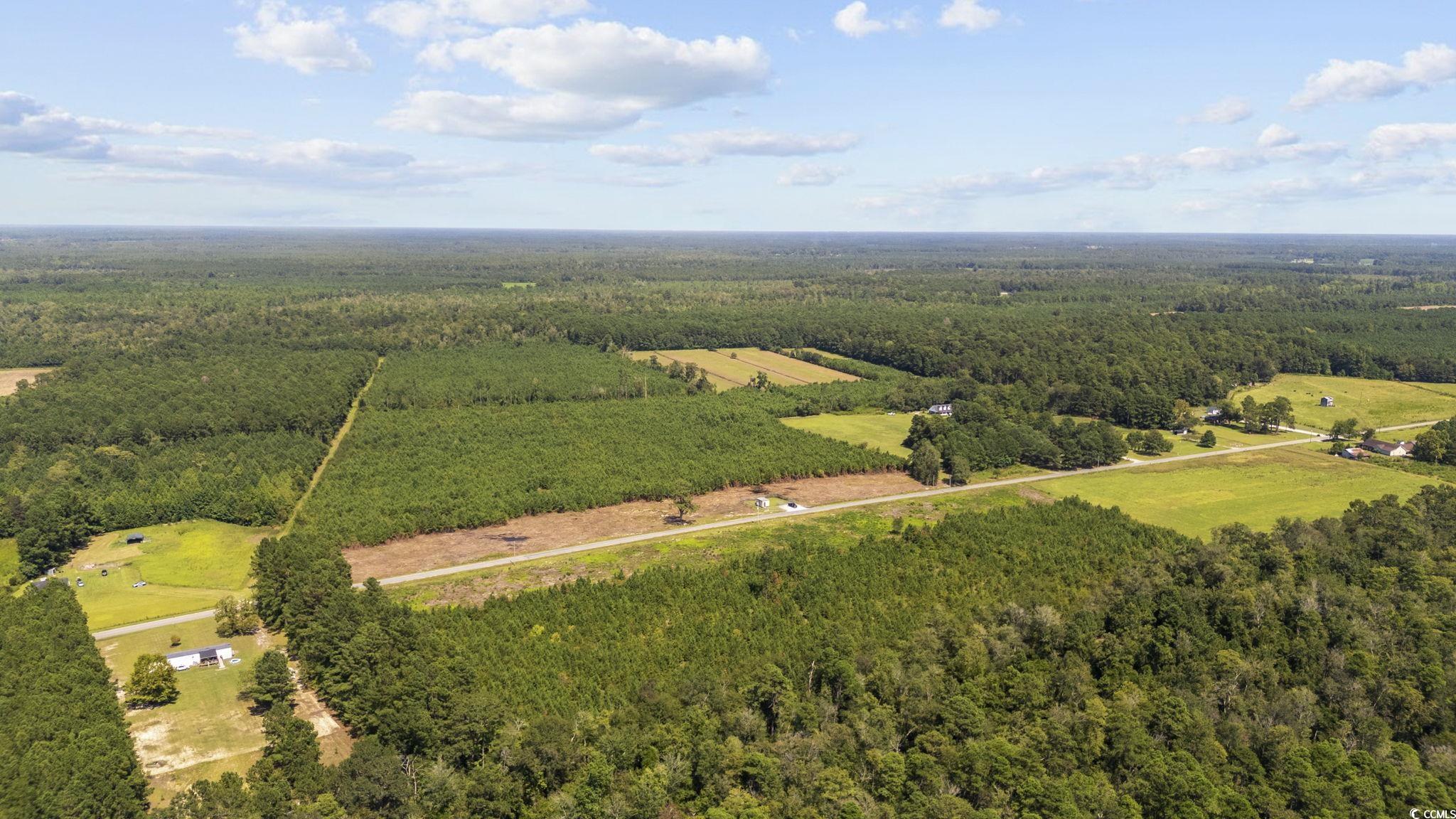 LOT B6 Black Creek Rd., Nichols, South Carolina image 6