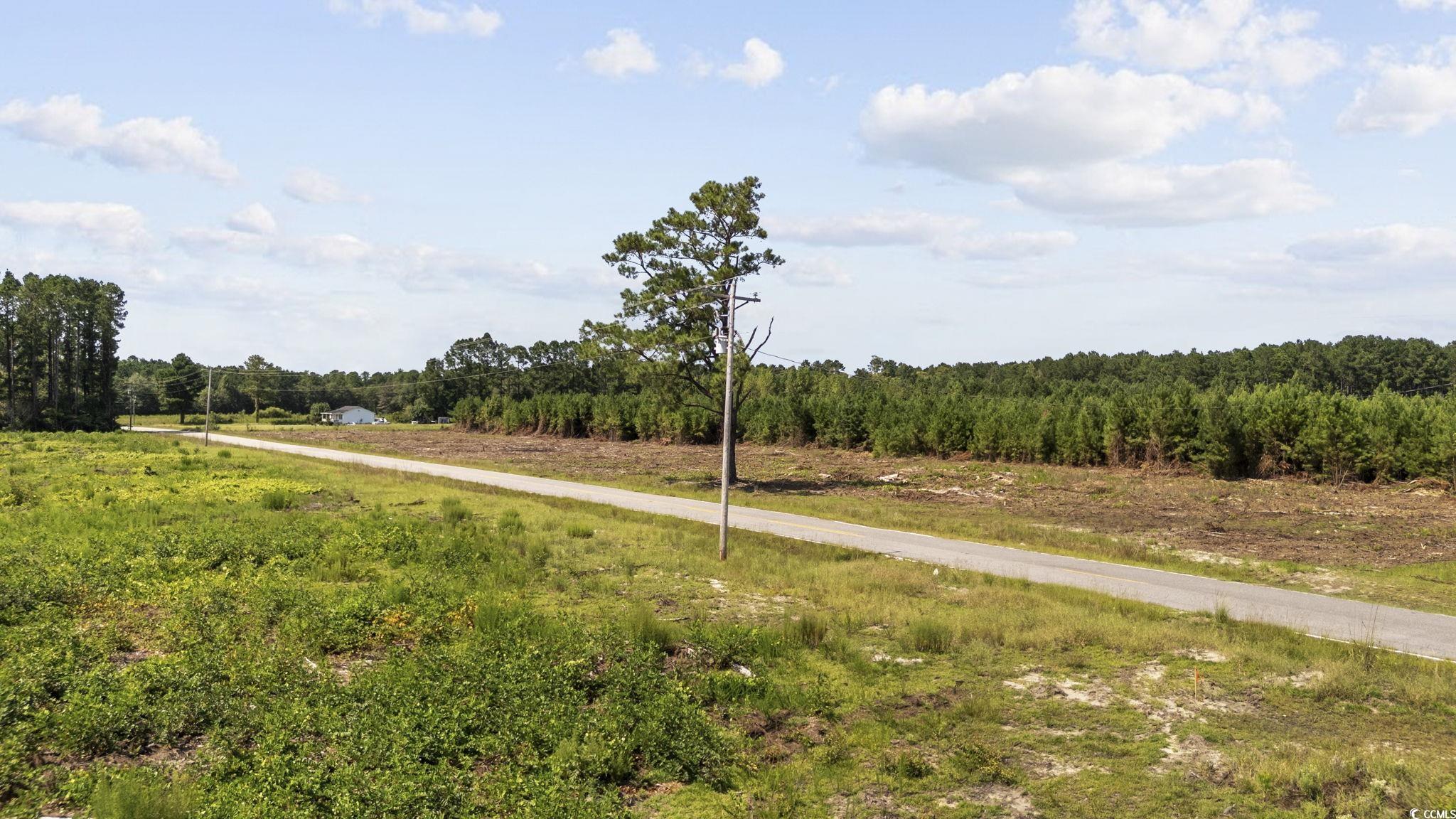 TBD Black Creek Rd., Nichols, South Carolina image 17