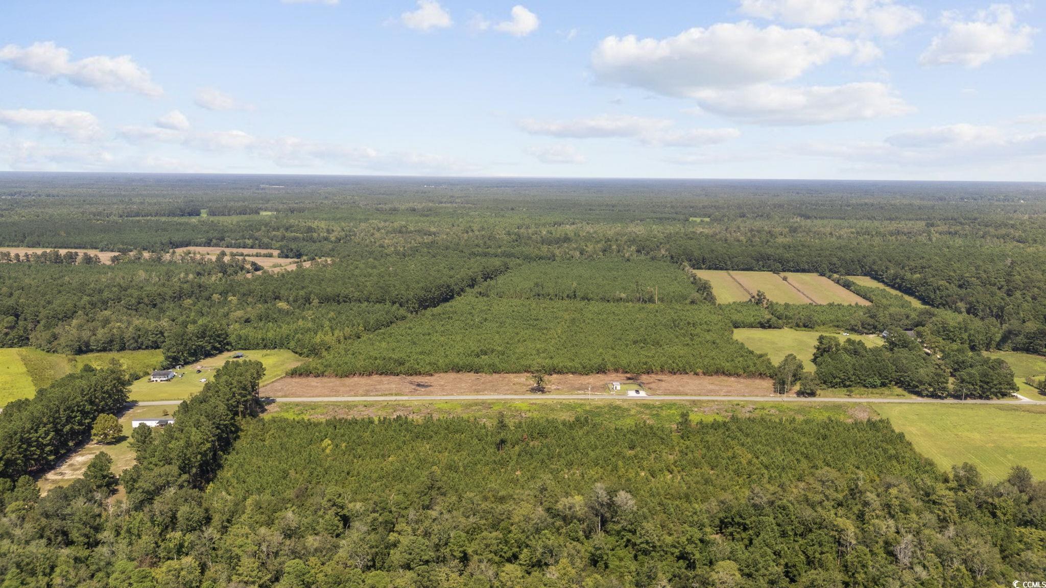 TBD Black Creek Rd., Nichols, South Carolina image 7