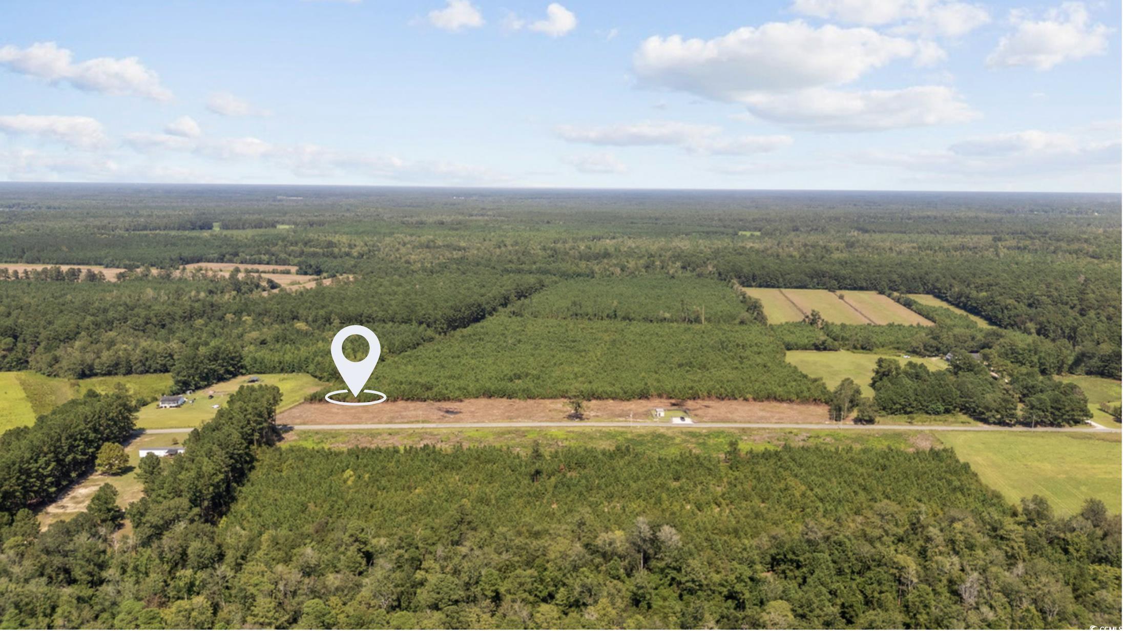 Lot B1 Black Creek Rd., Nichols, South Carolina image 2