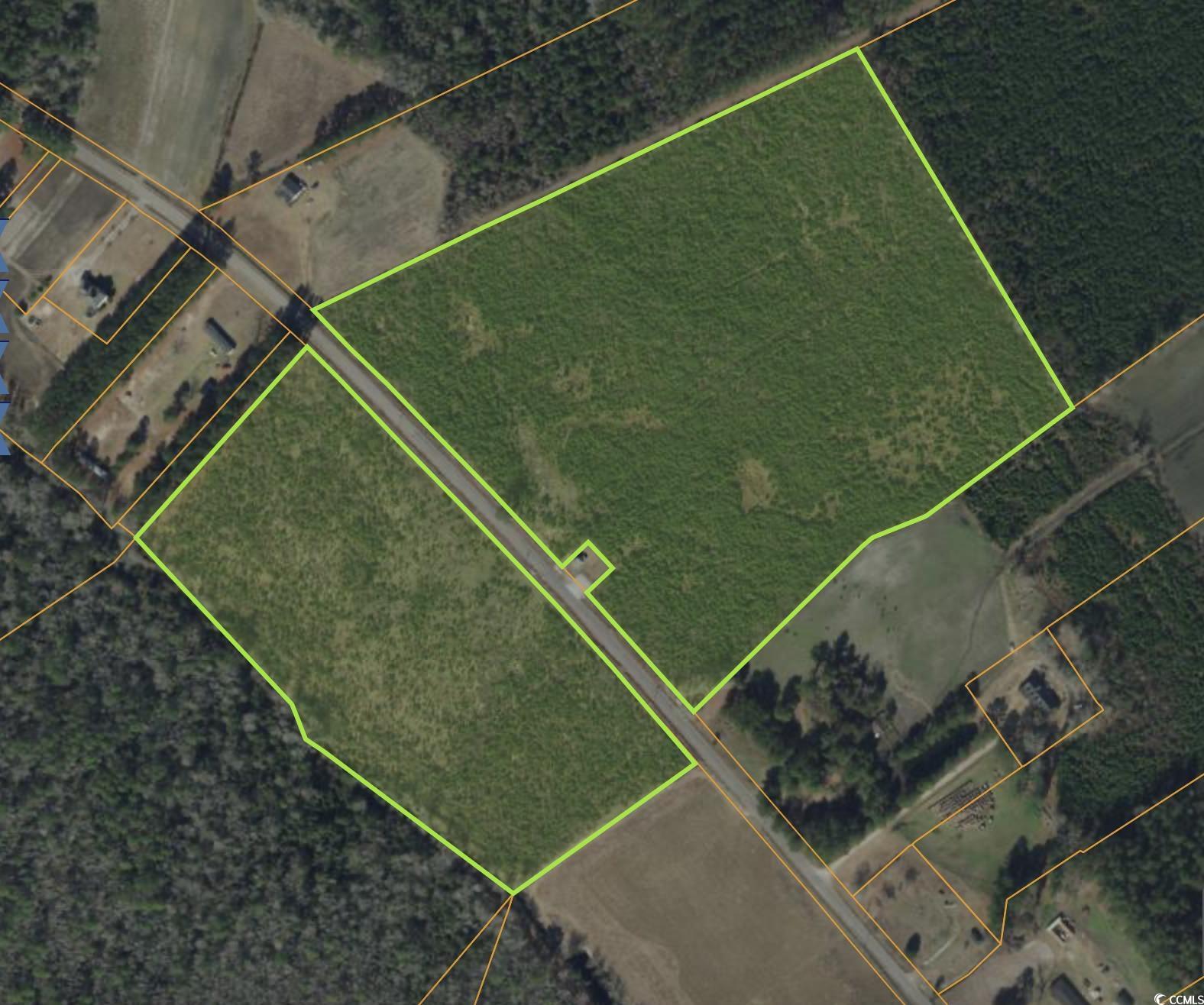 LOT 18 Black Creek Rd., Nichols, South Carolina image 4