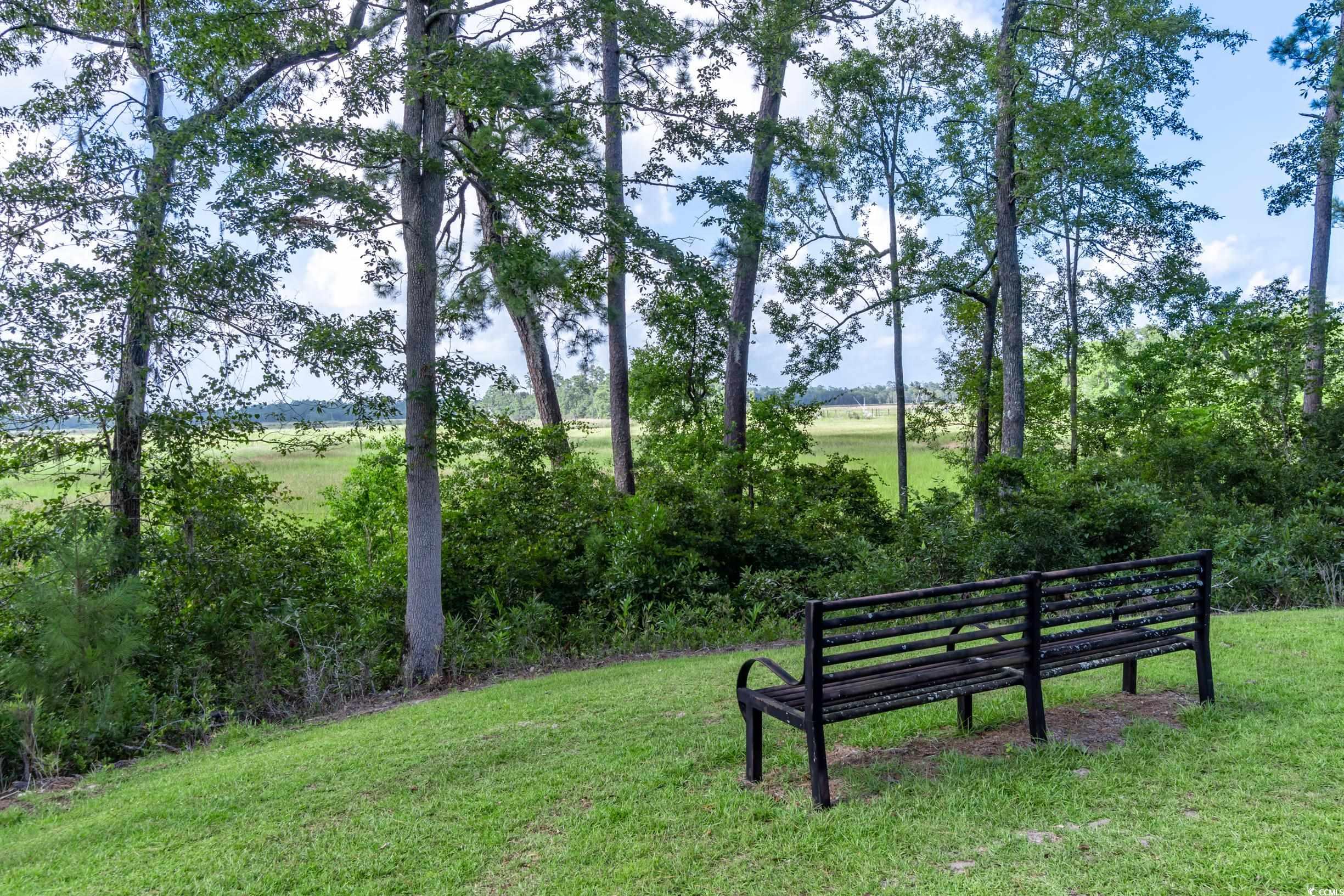 58 Pineberry Dr., Georgetown, South Carolina image 8