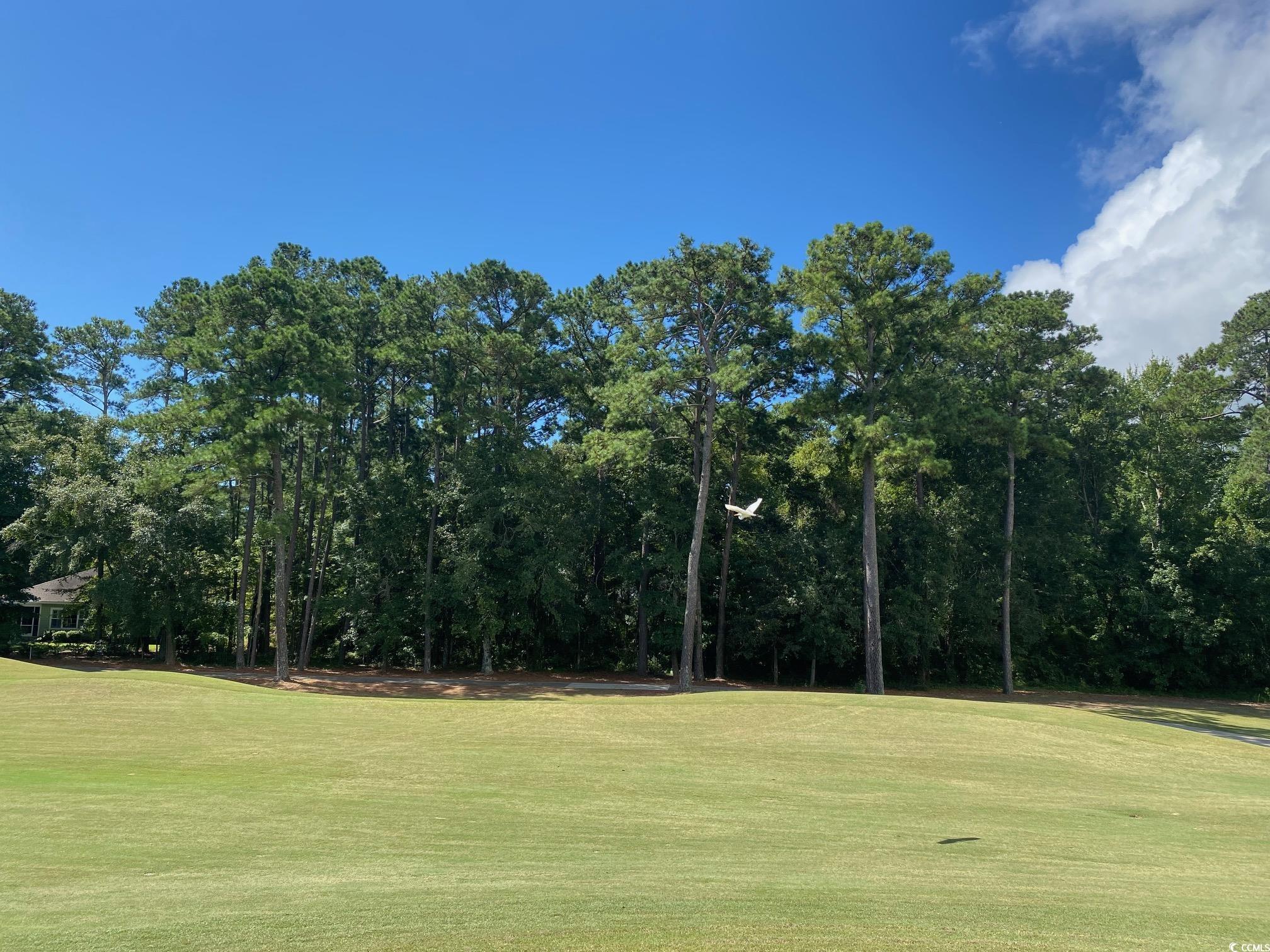 lot 22 Grey Fox Loop Pawleys Island, SC 29585