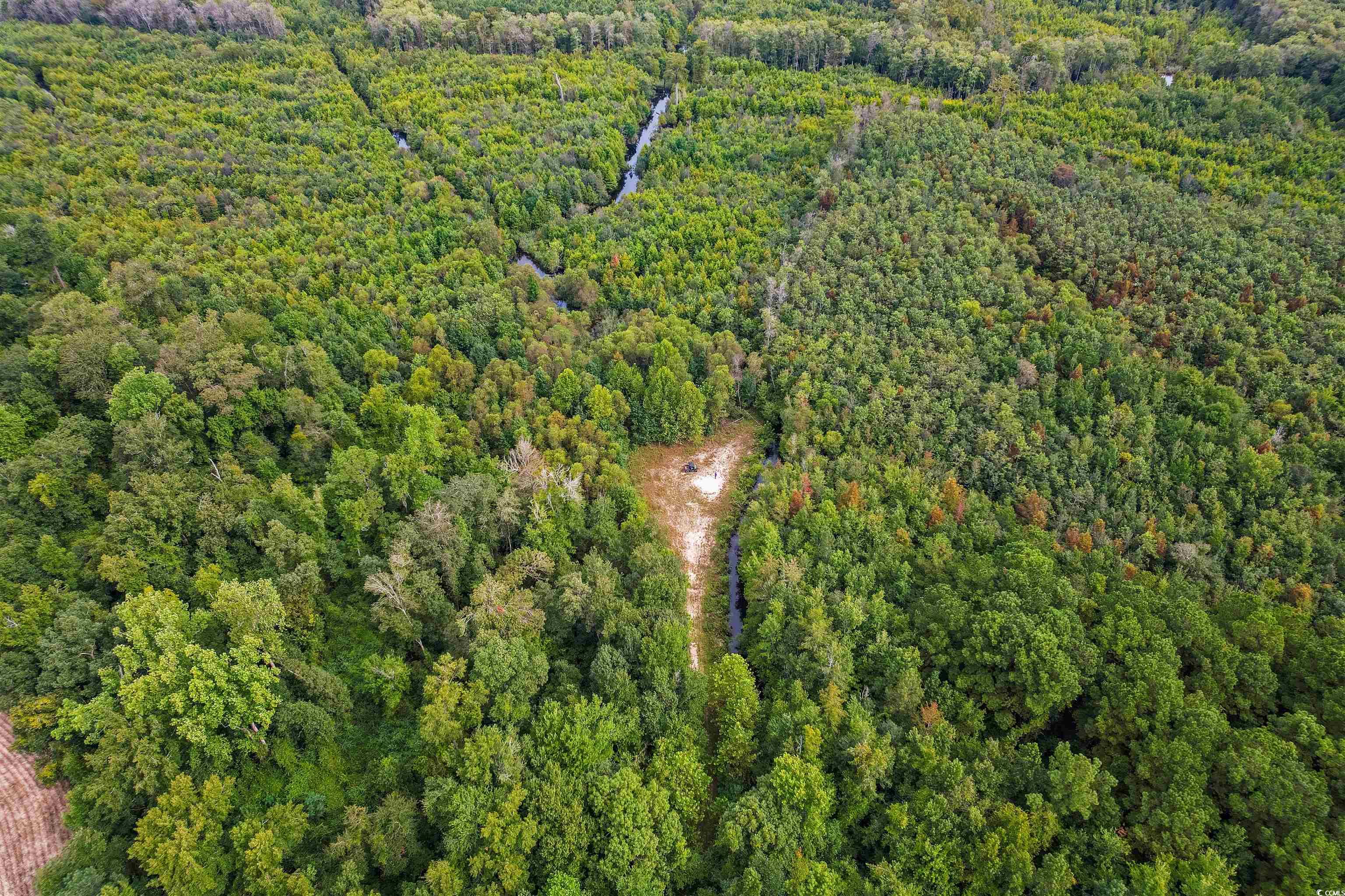 TBD Highway 308, Galivants Ferry, South Carolina image 3