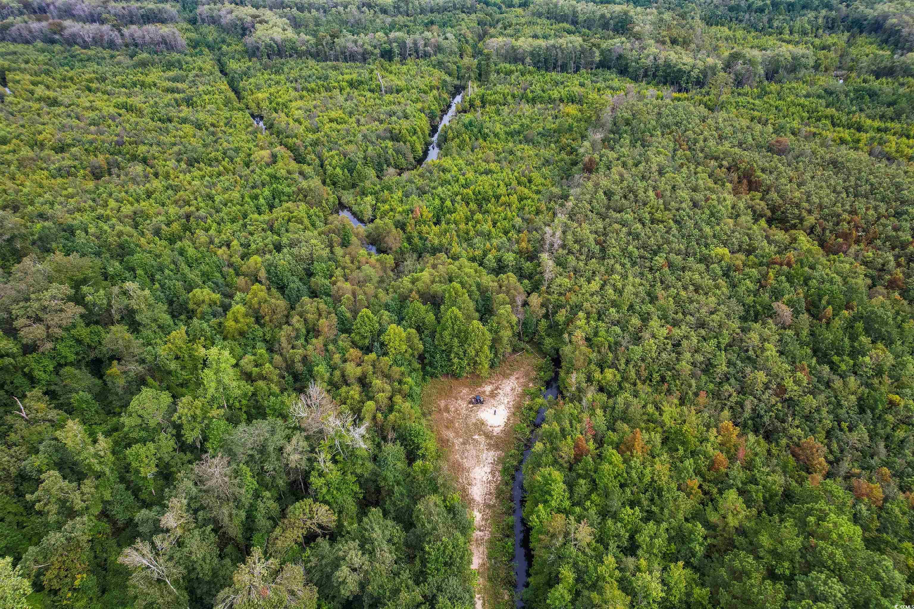 TBD Highway 308, Galivants Ferry, South Carolina image 4