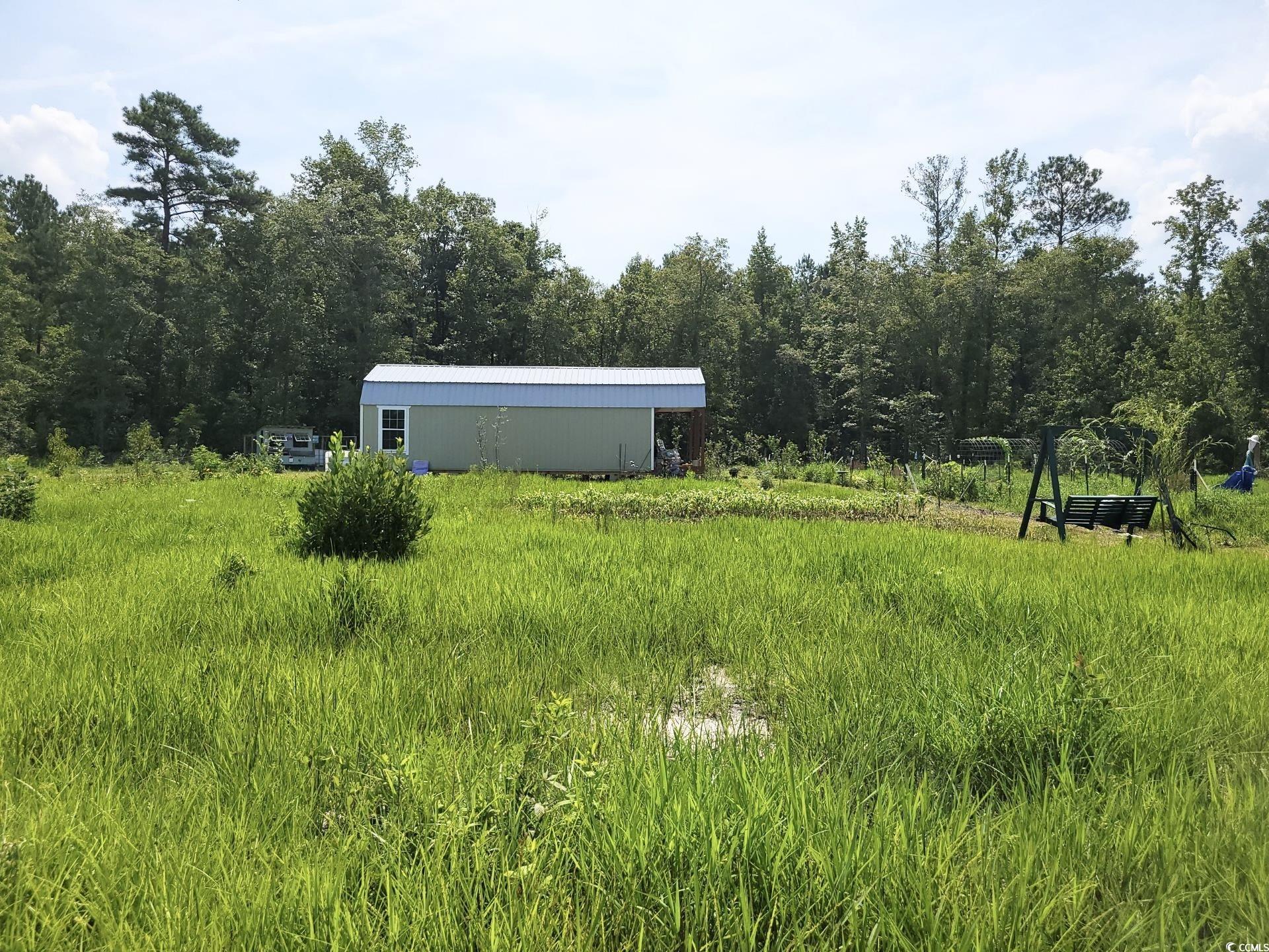 244 Chair Rd., Hemingway, South Carolina image 9