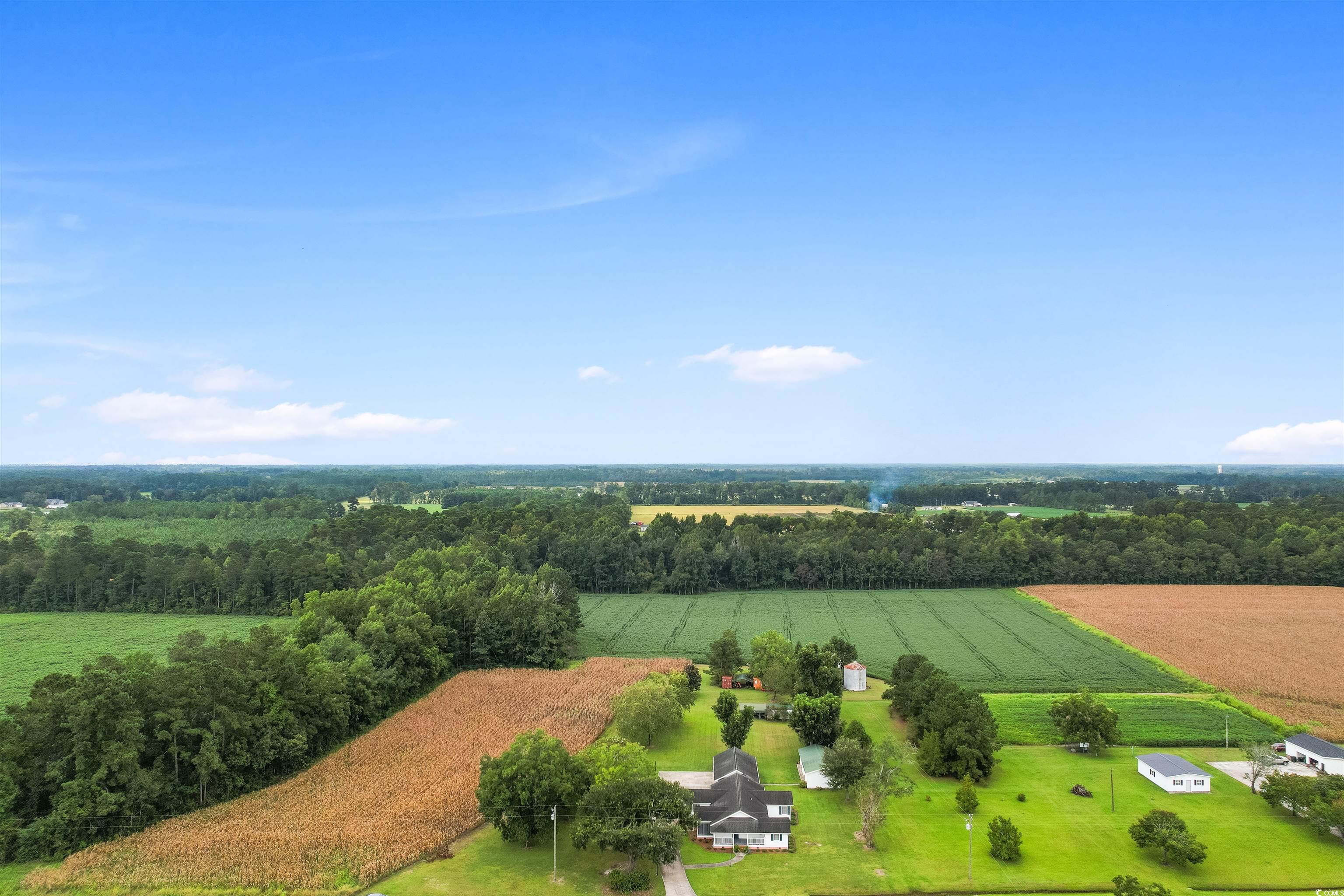 3158 Burroughs Rd., Galivants Ferry, South Carolina image 36